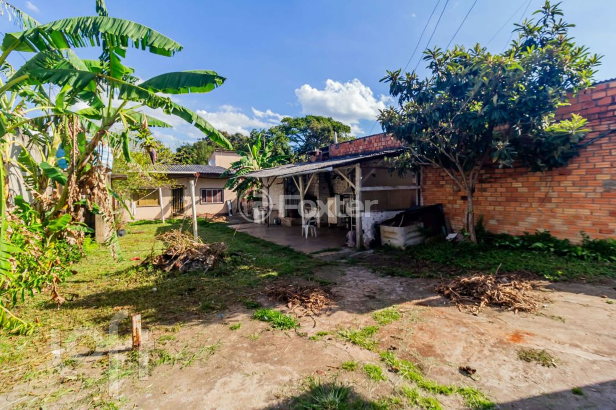 Imagem da propriedade 11