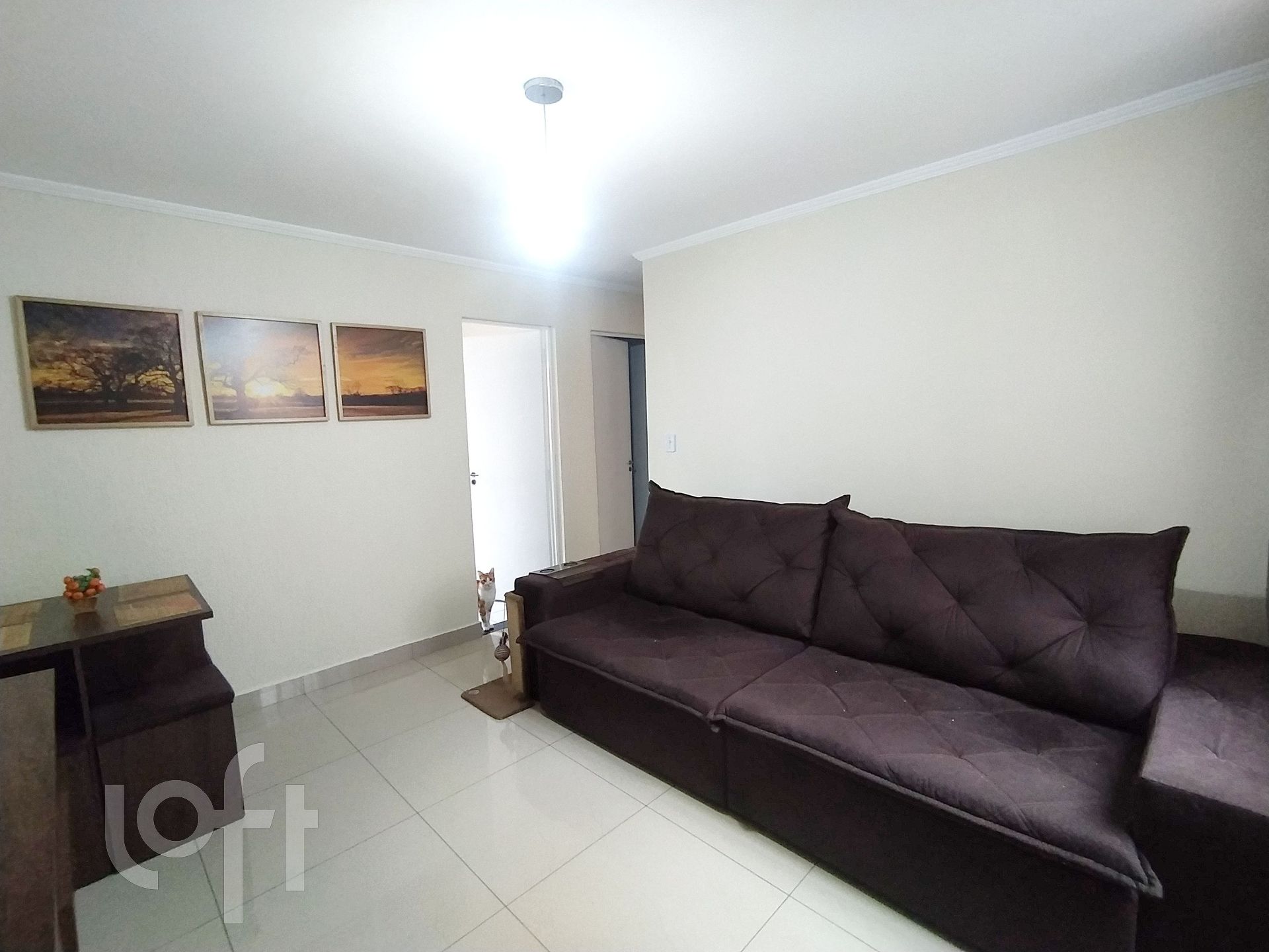 Apartamento à venda com 2 quartos, 52m² - Foto 3