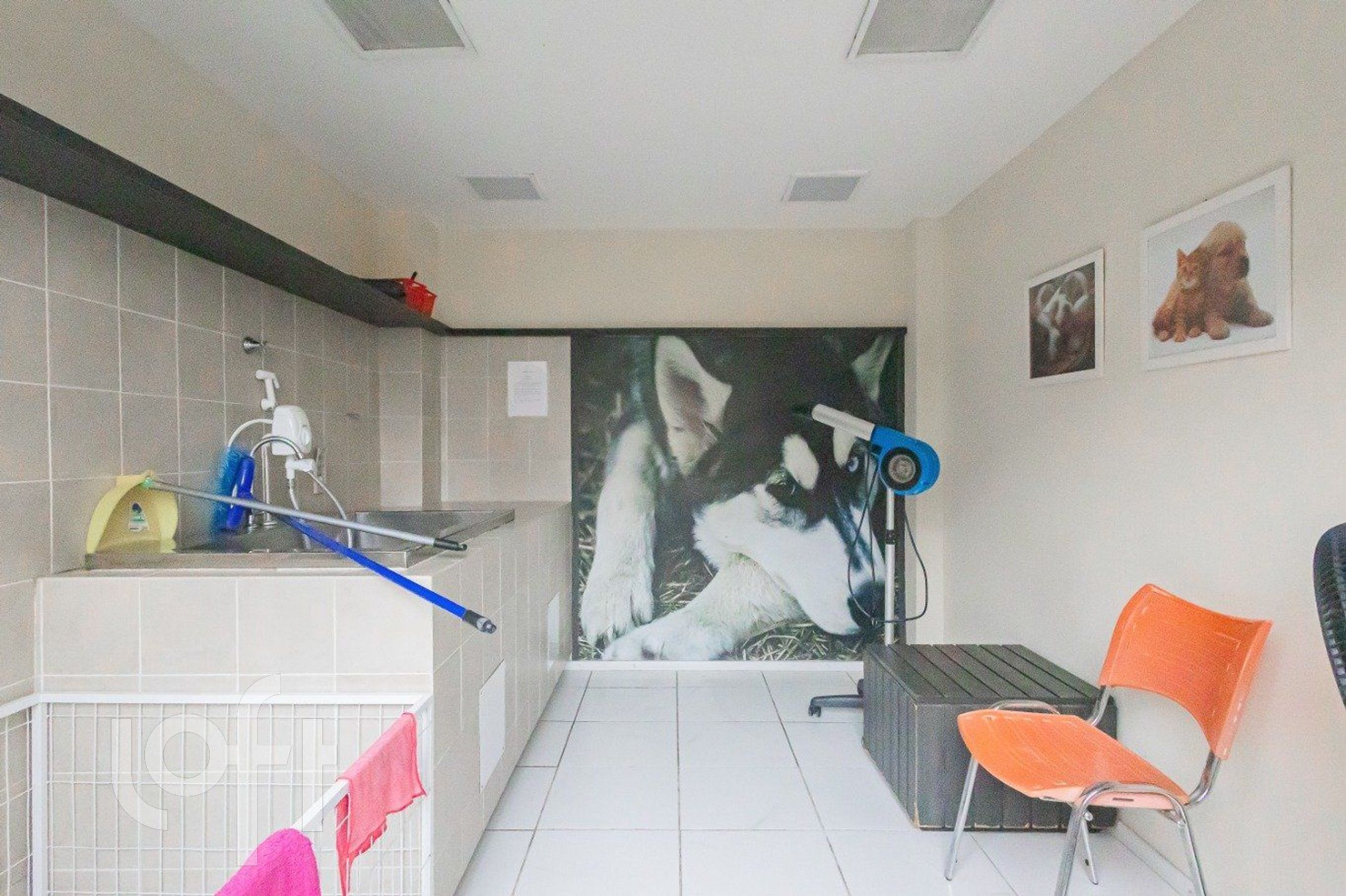 Imagem da propriedade 18