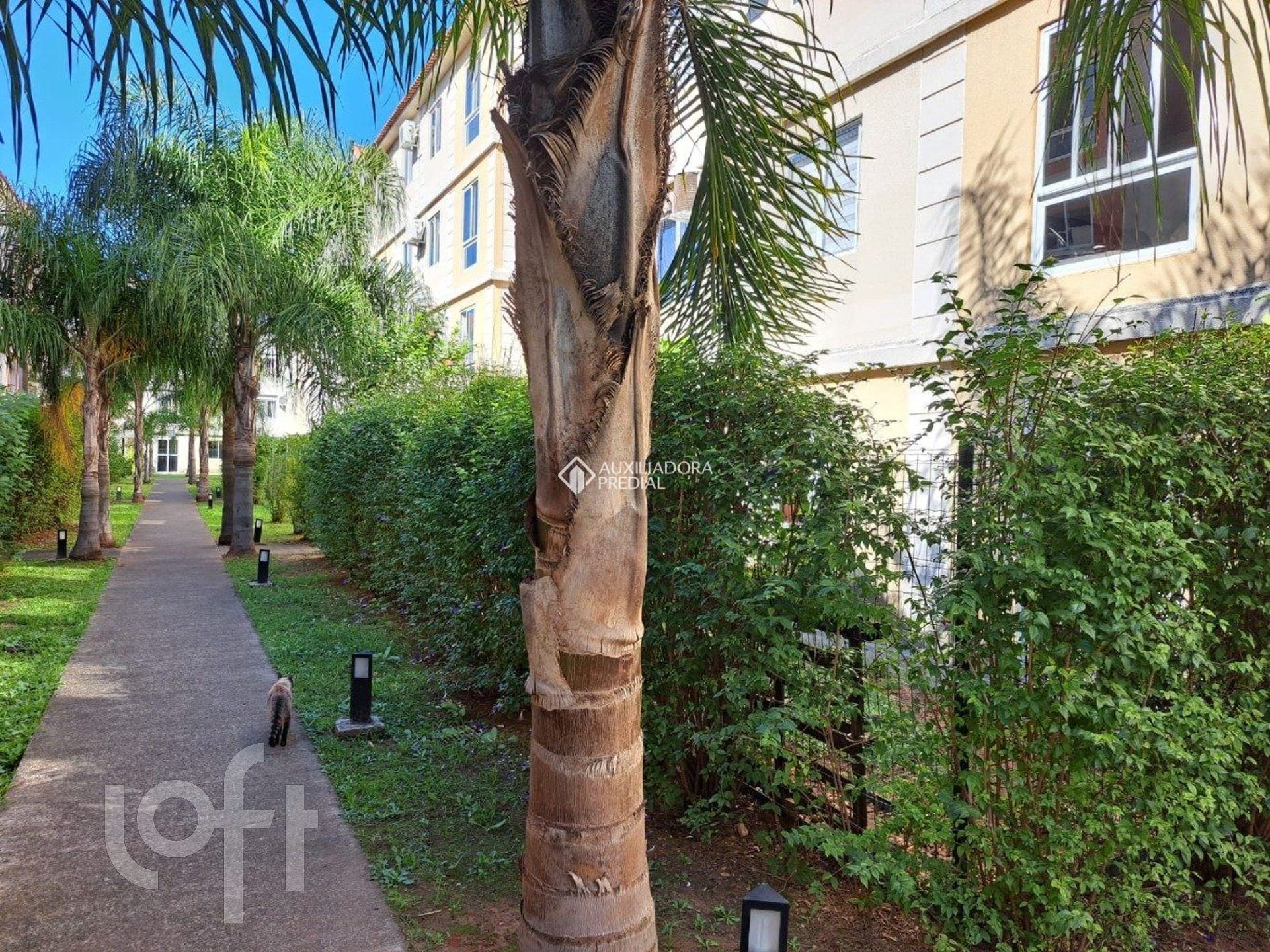 Imagem da propriedade 3