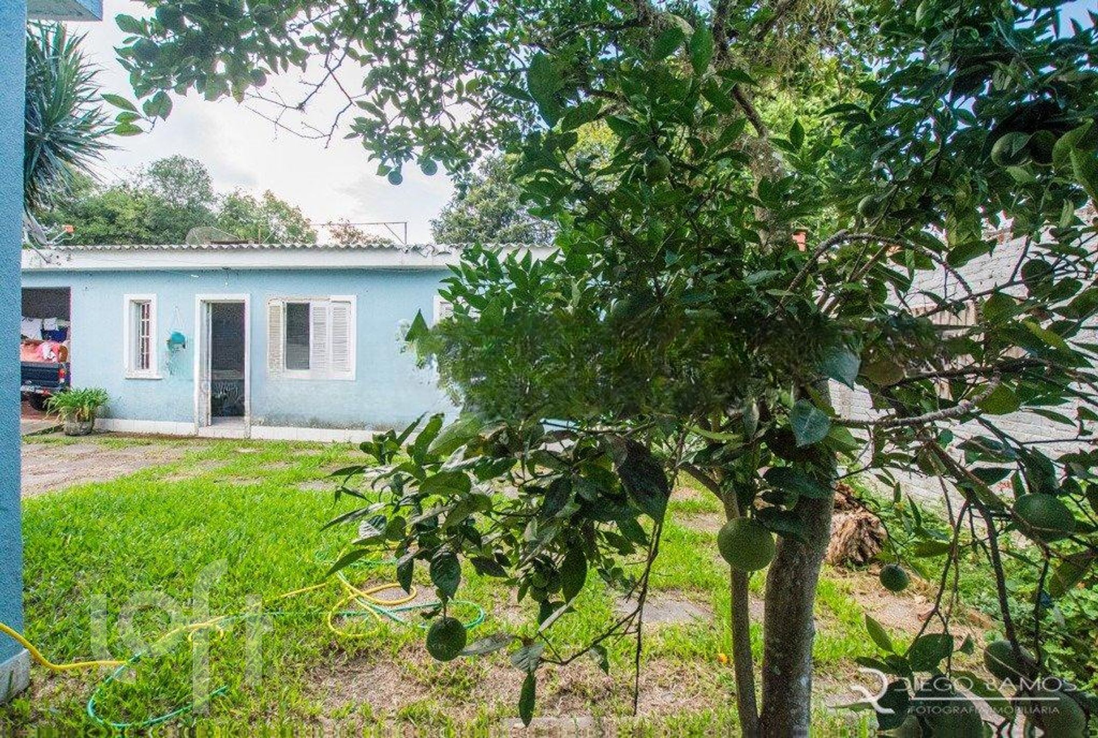 Imagem da propriedade 42