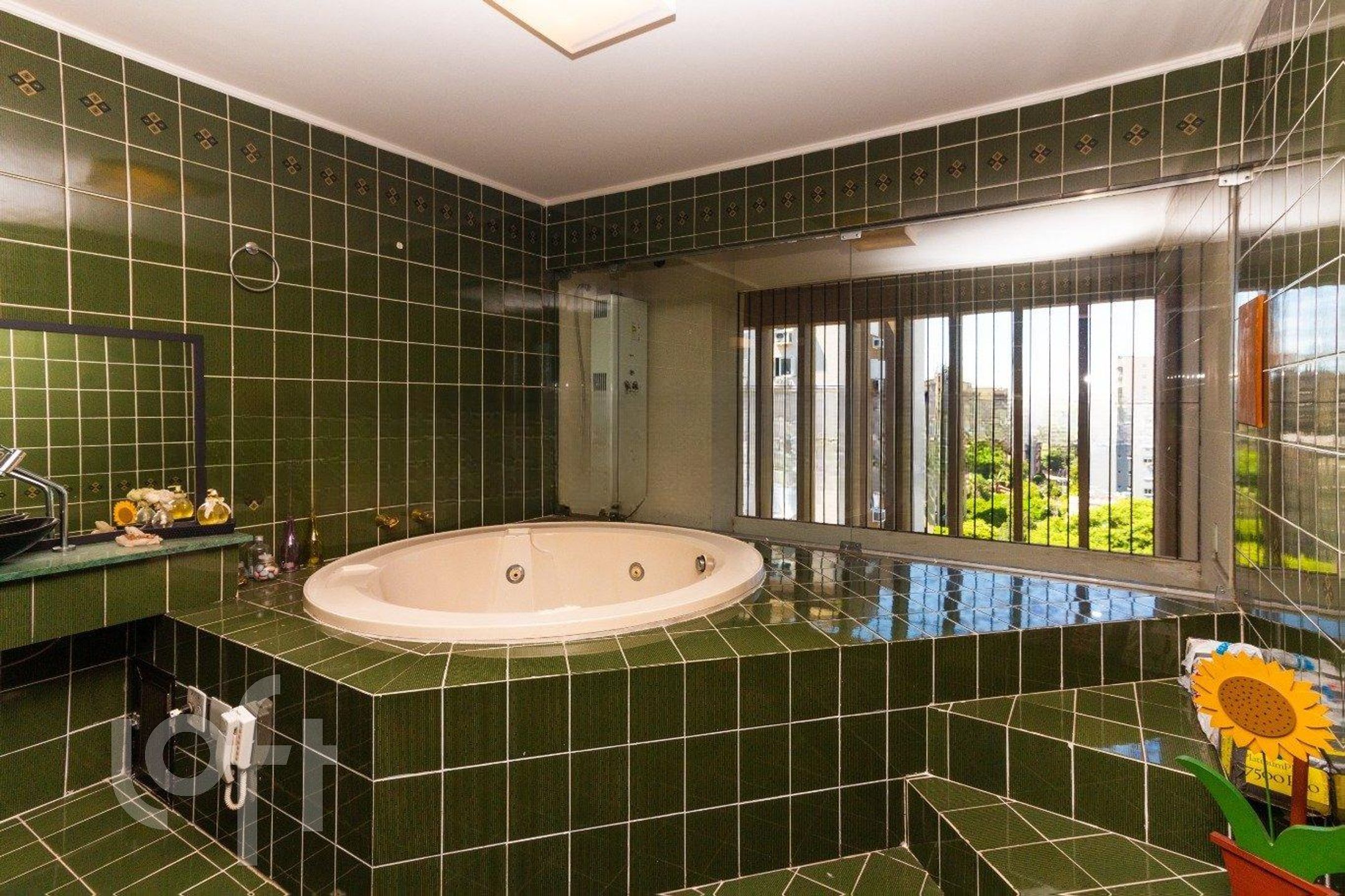 Imagem da propriedade 10