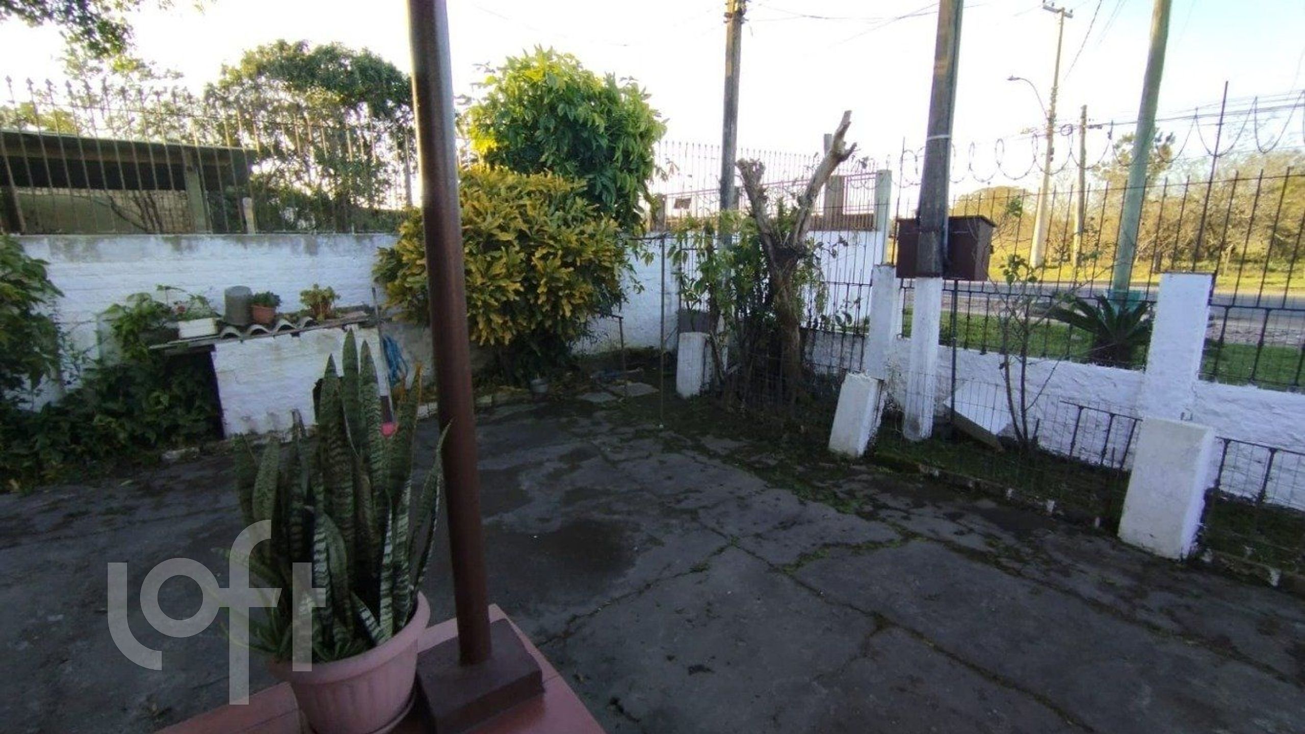 Imagem da propriedade 13