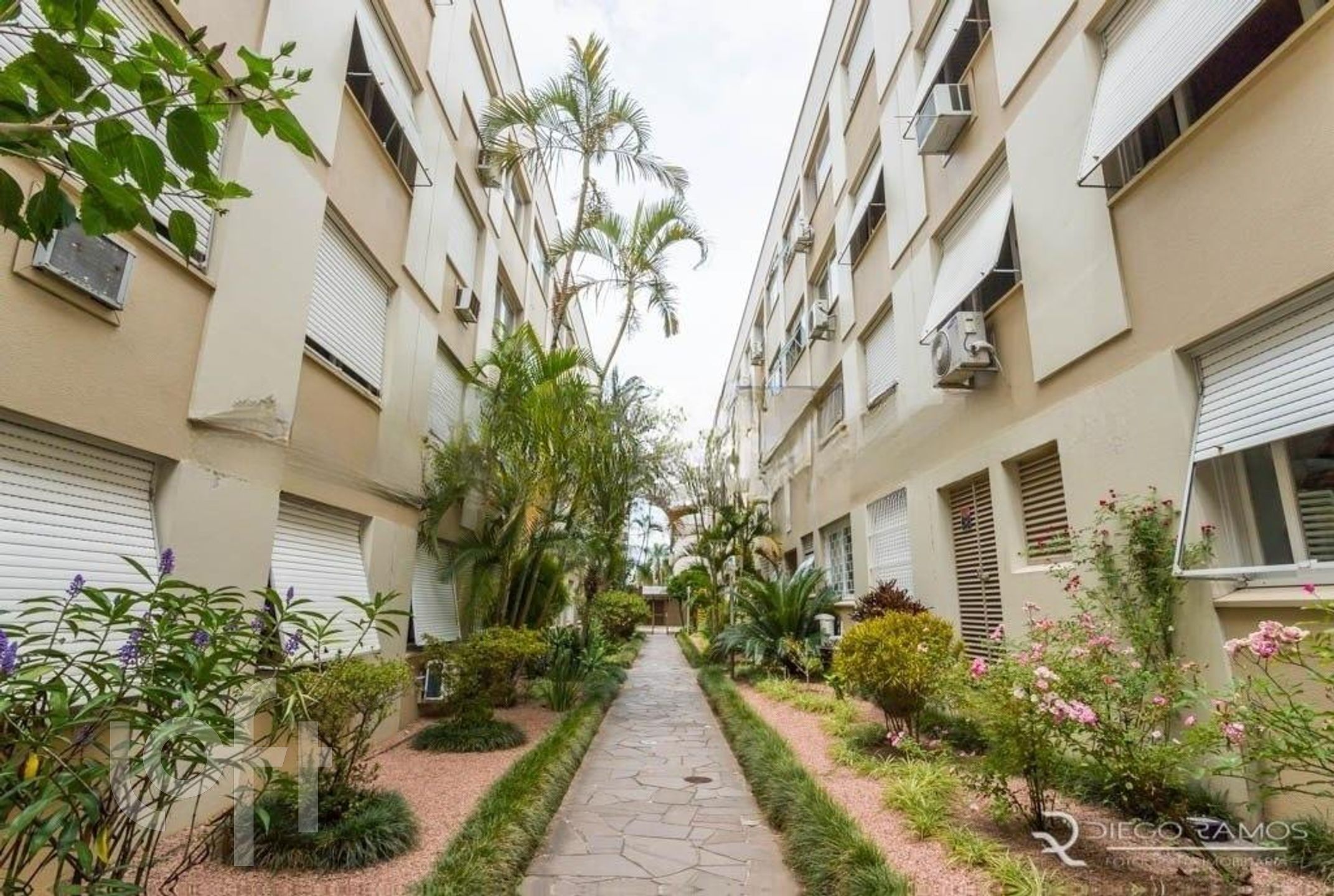 Imagem da propriedade 2