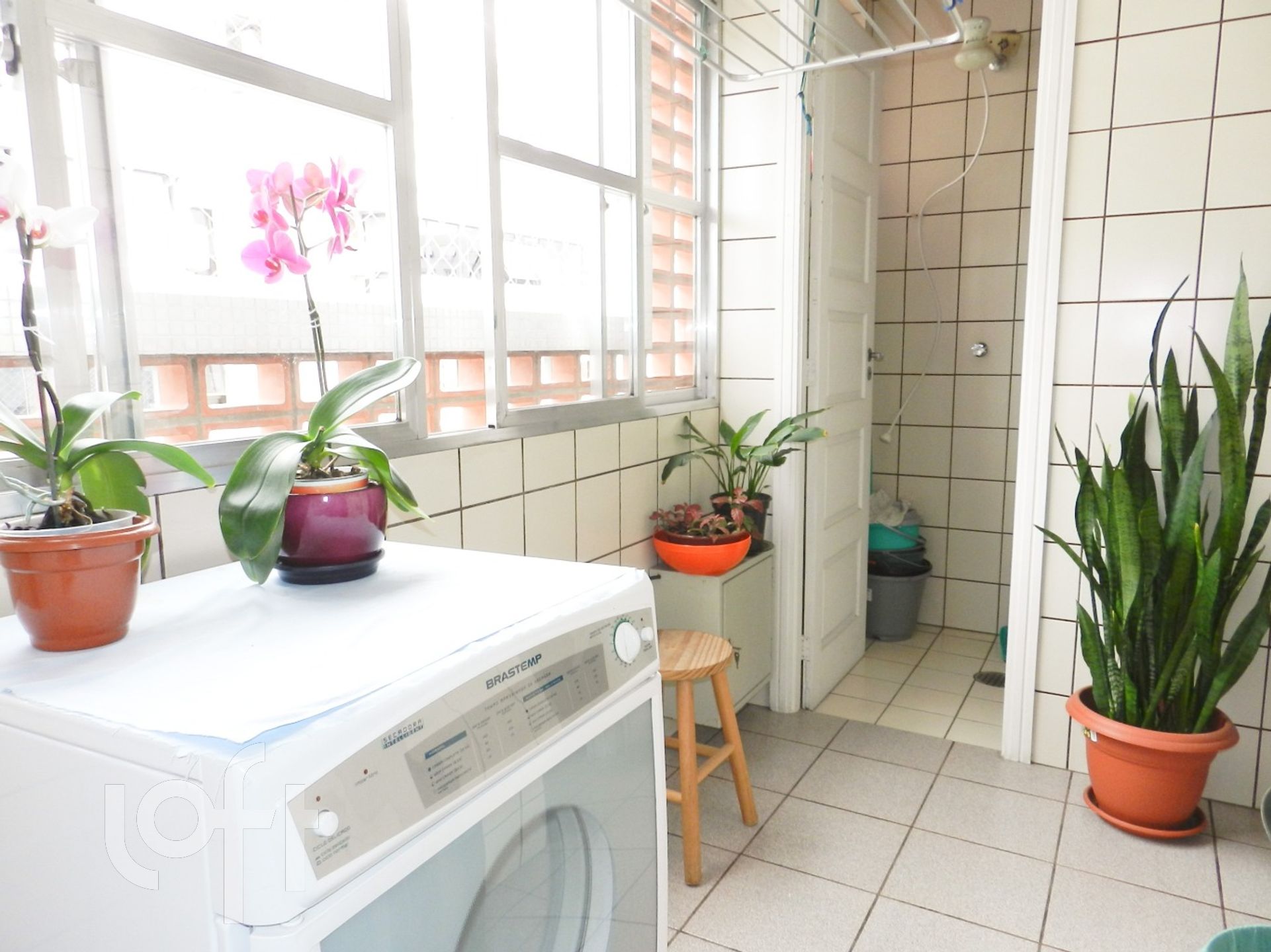 Imagem da propriedade 13