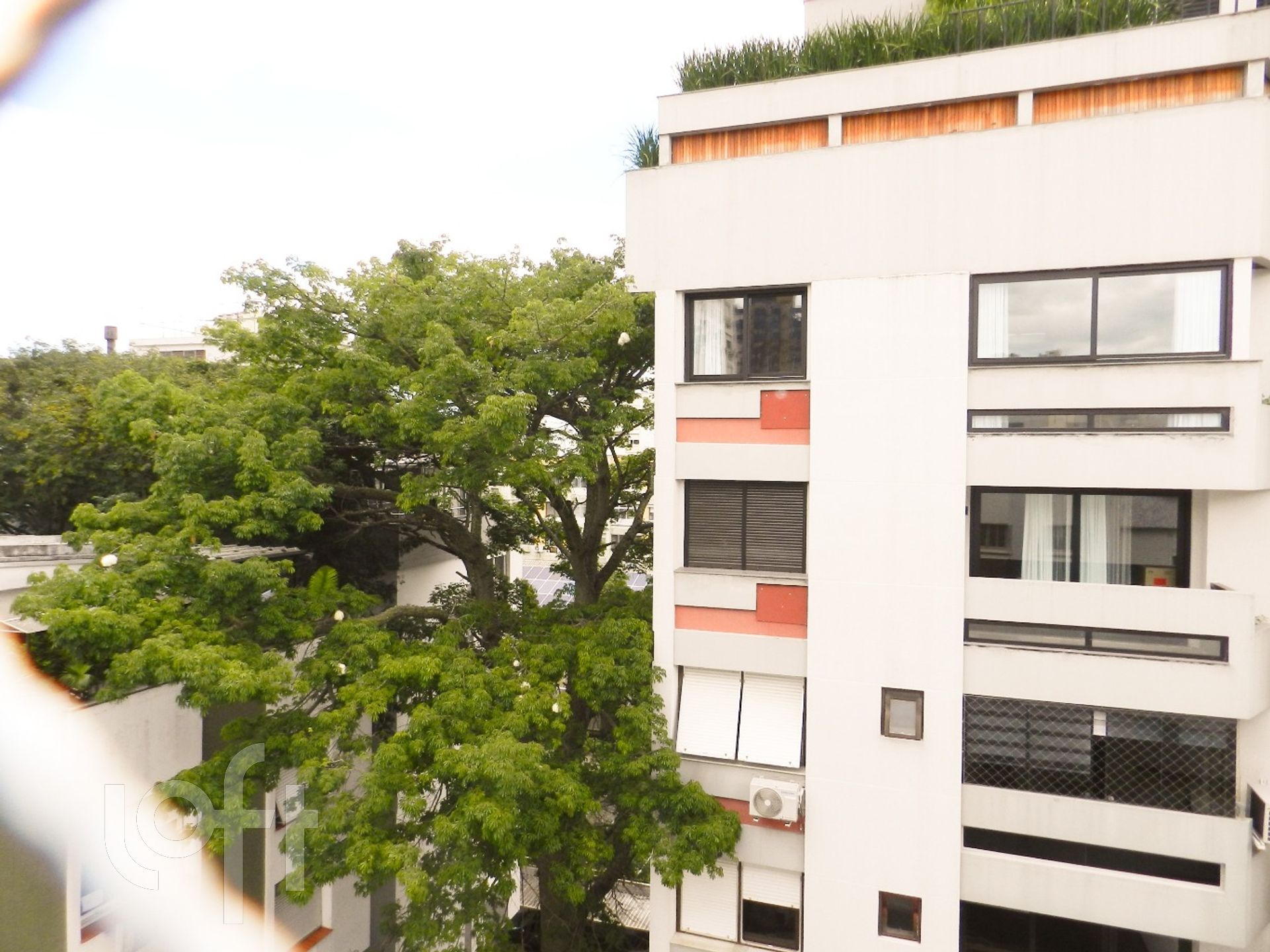 Imagem da propriedade 25