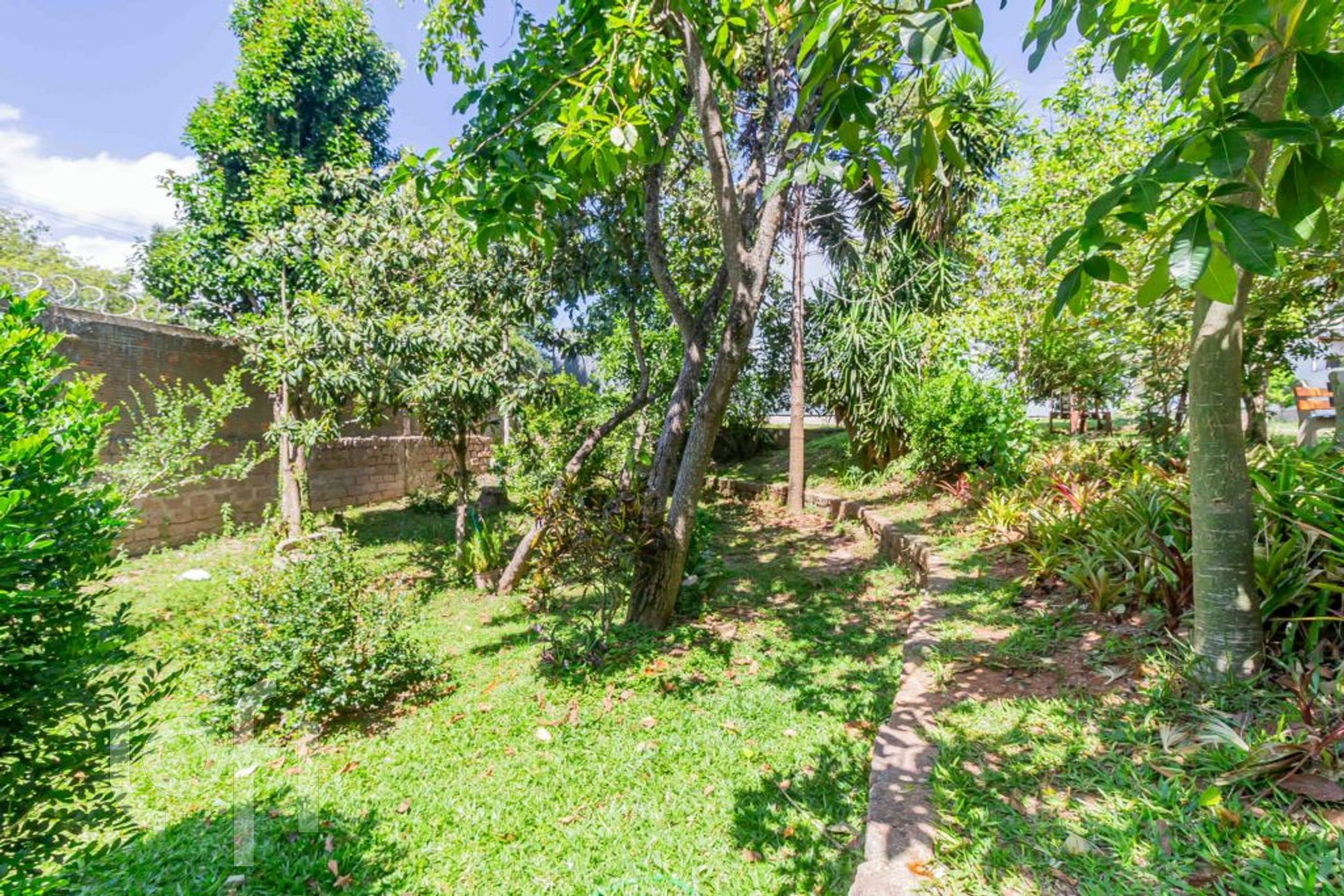 Imagem da propriedade 53