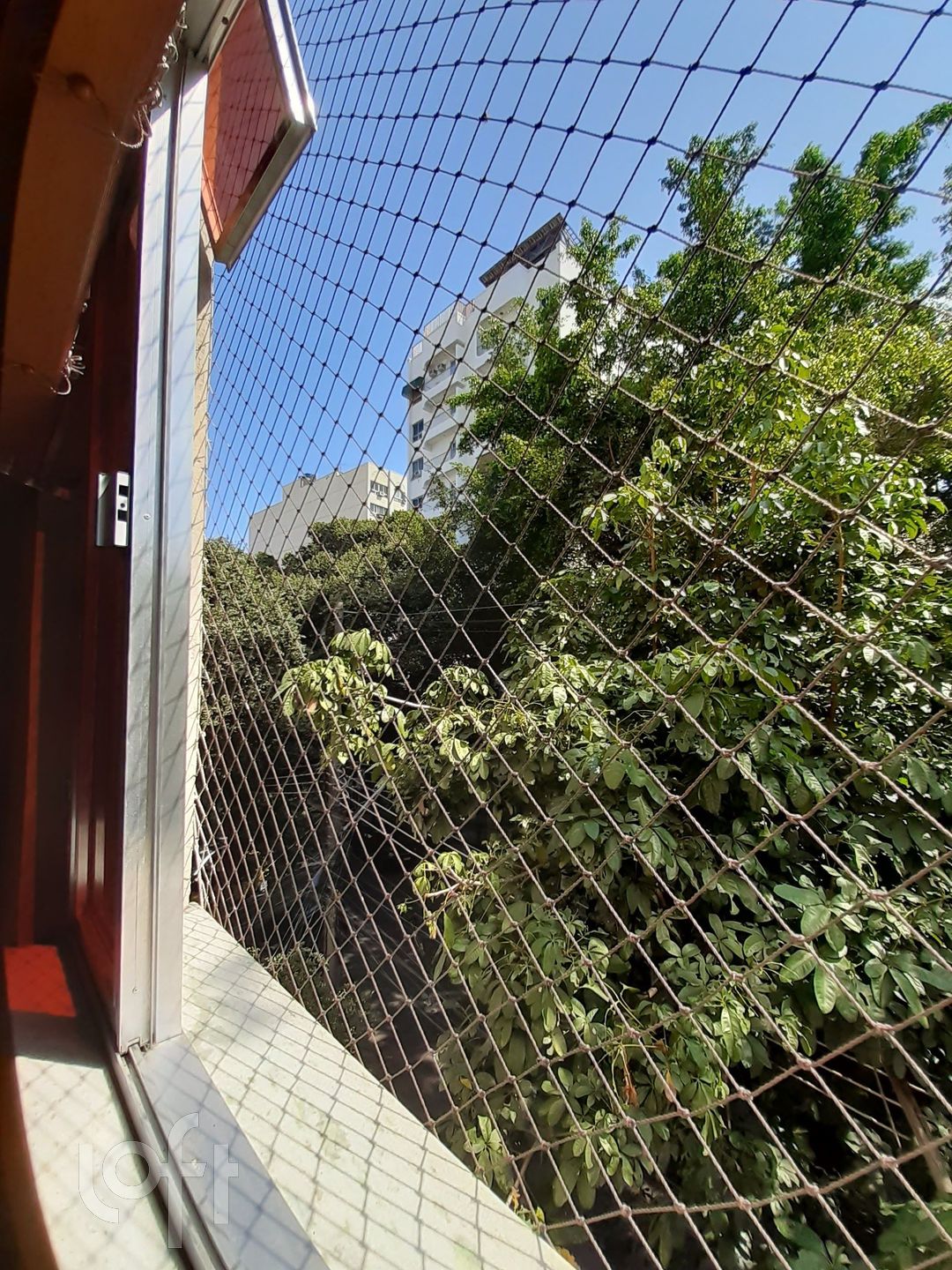 Imagem da propriedade 5