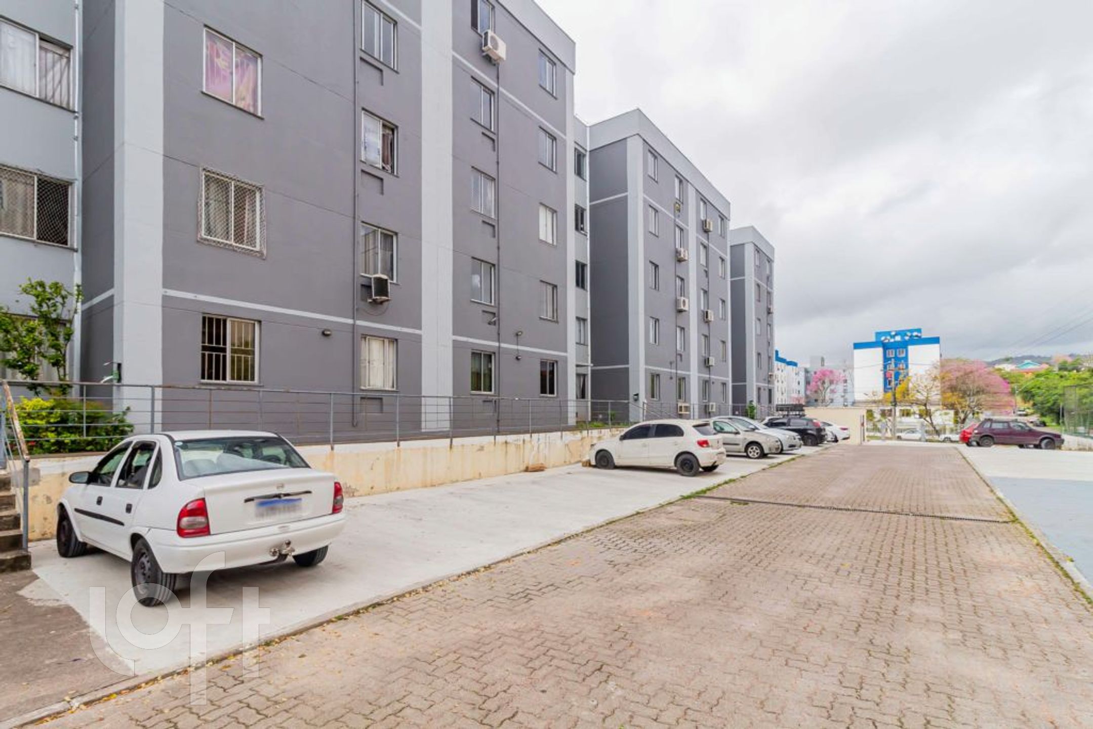 Imagem da propriedade 20