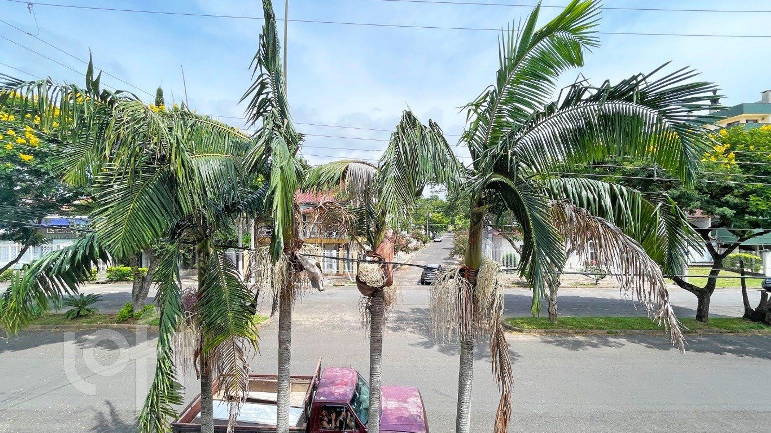 Imagem da propriedade 29