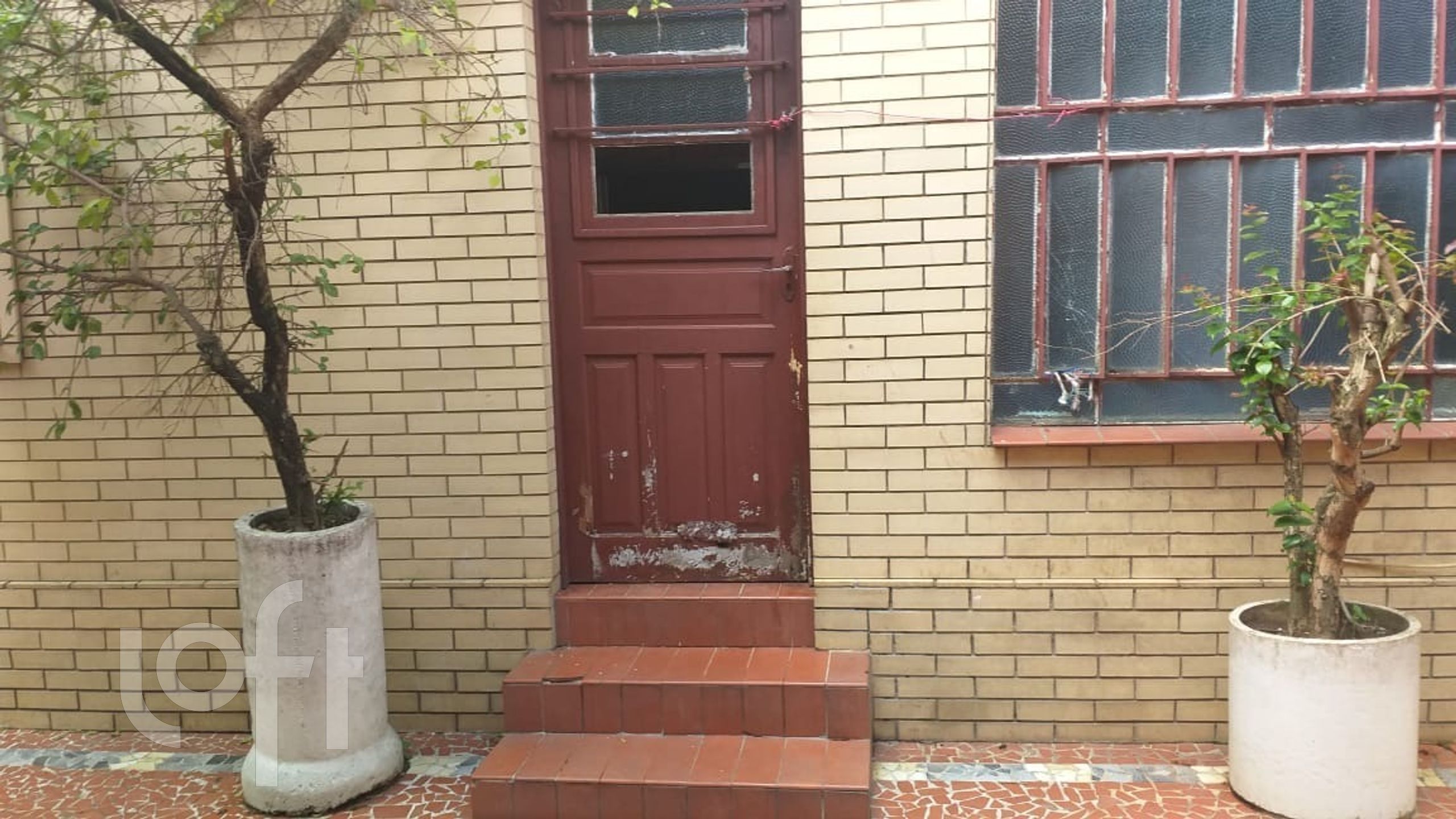 Imagem da propriedade 11