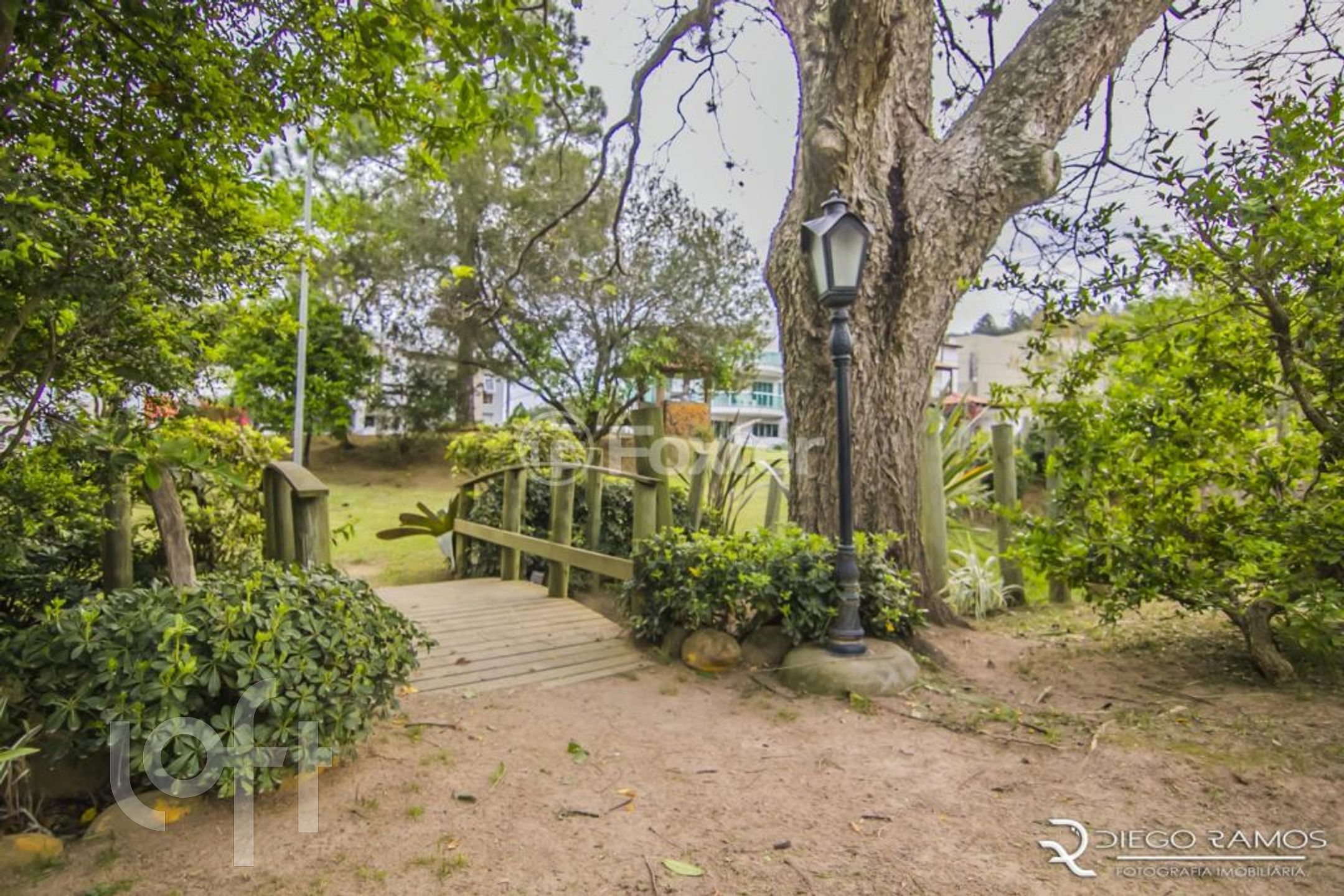 Imagem da propriedade 12