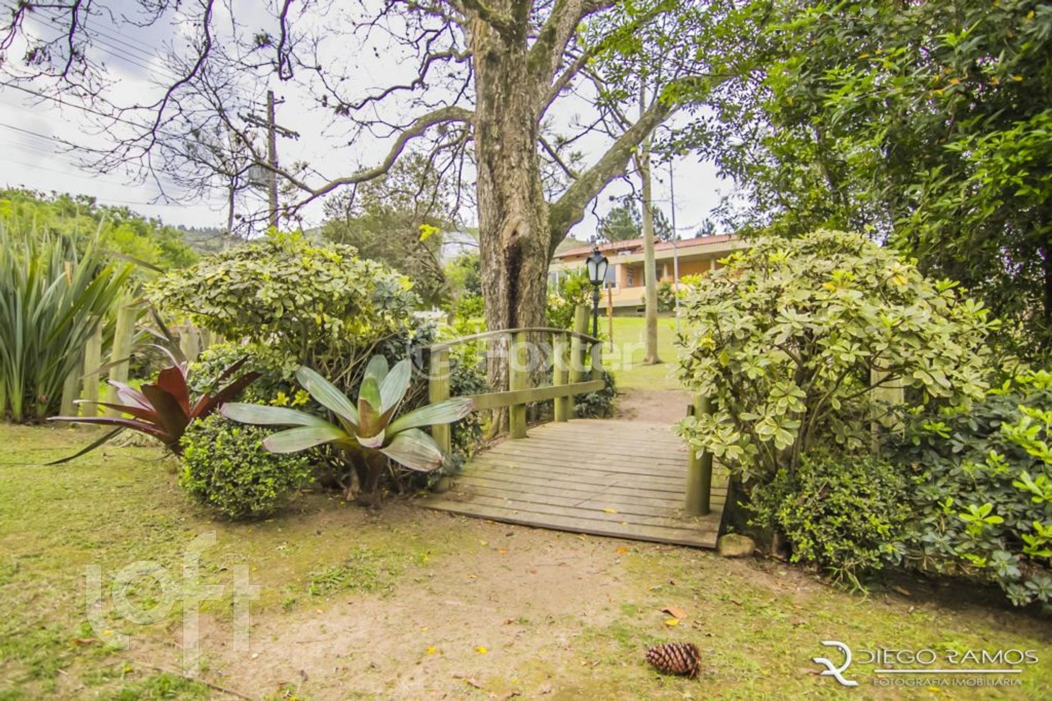 Imagem da propriedade 8