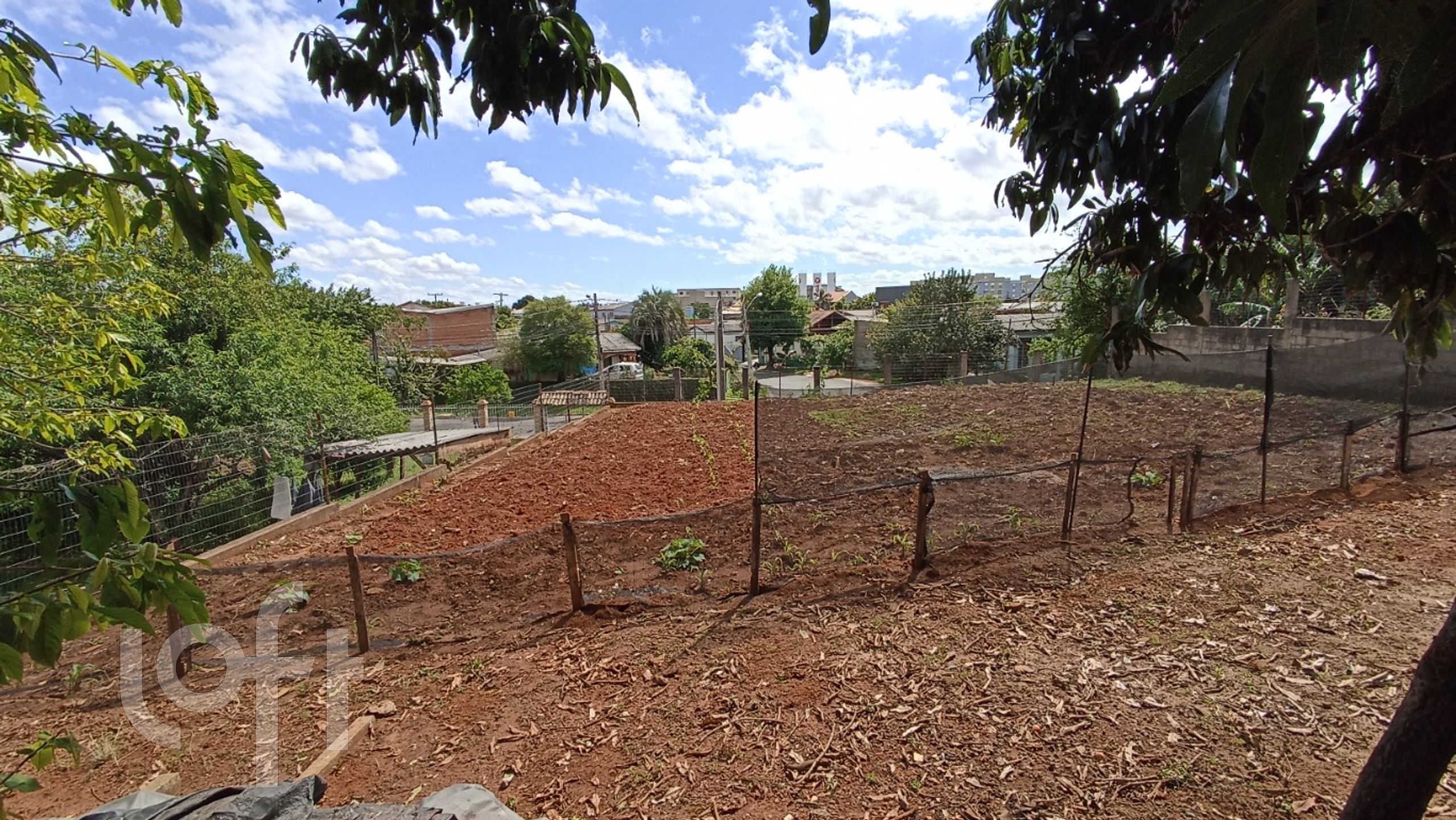 Imagem da propriedade 24