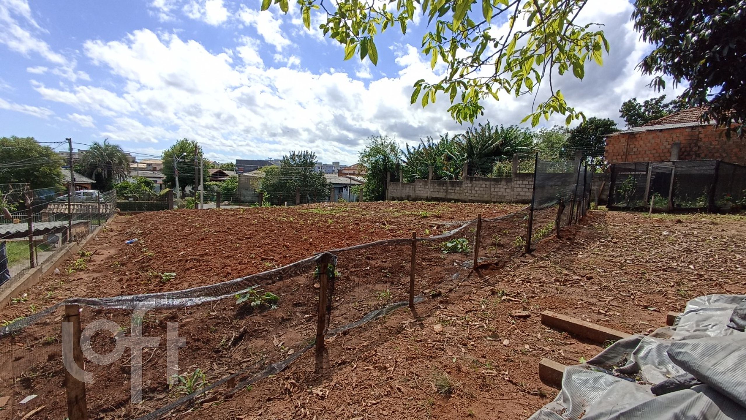 Imagem da propriedade 27