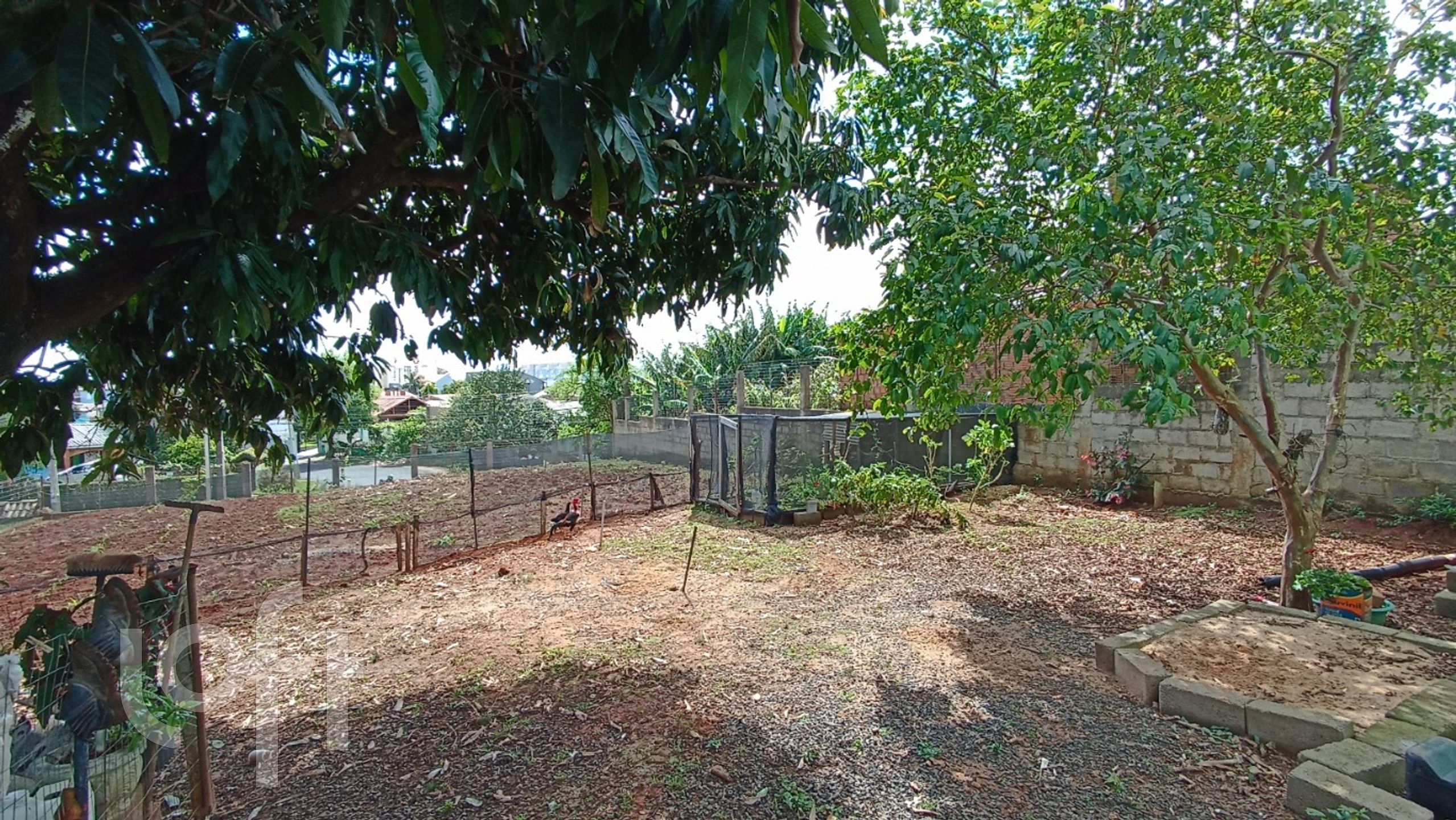 Imagem da propriedade 23