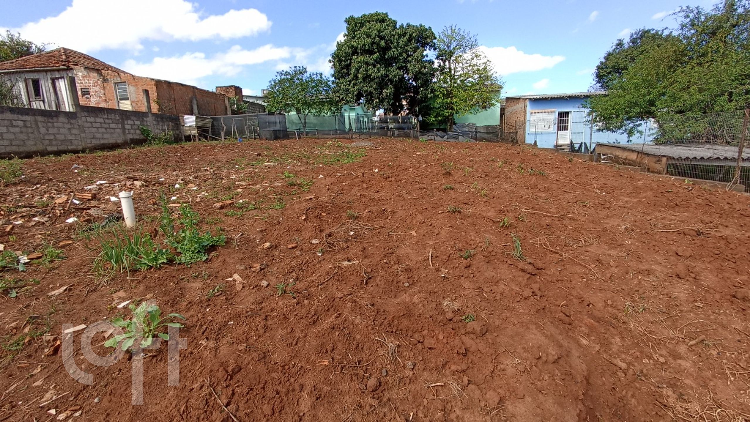 Imagem da propriedade 34