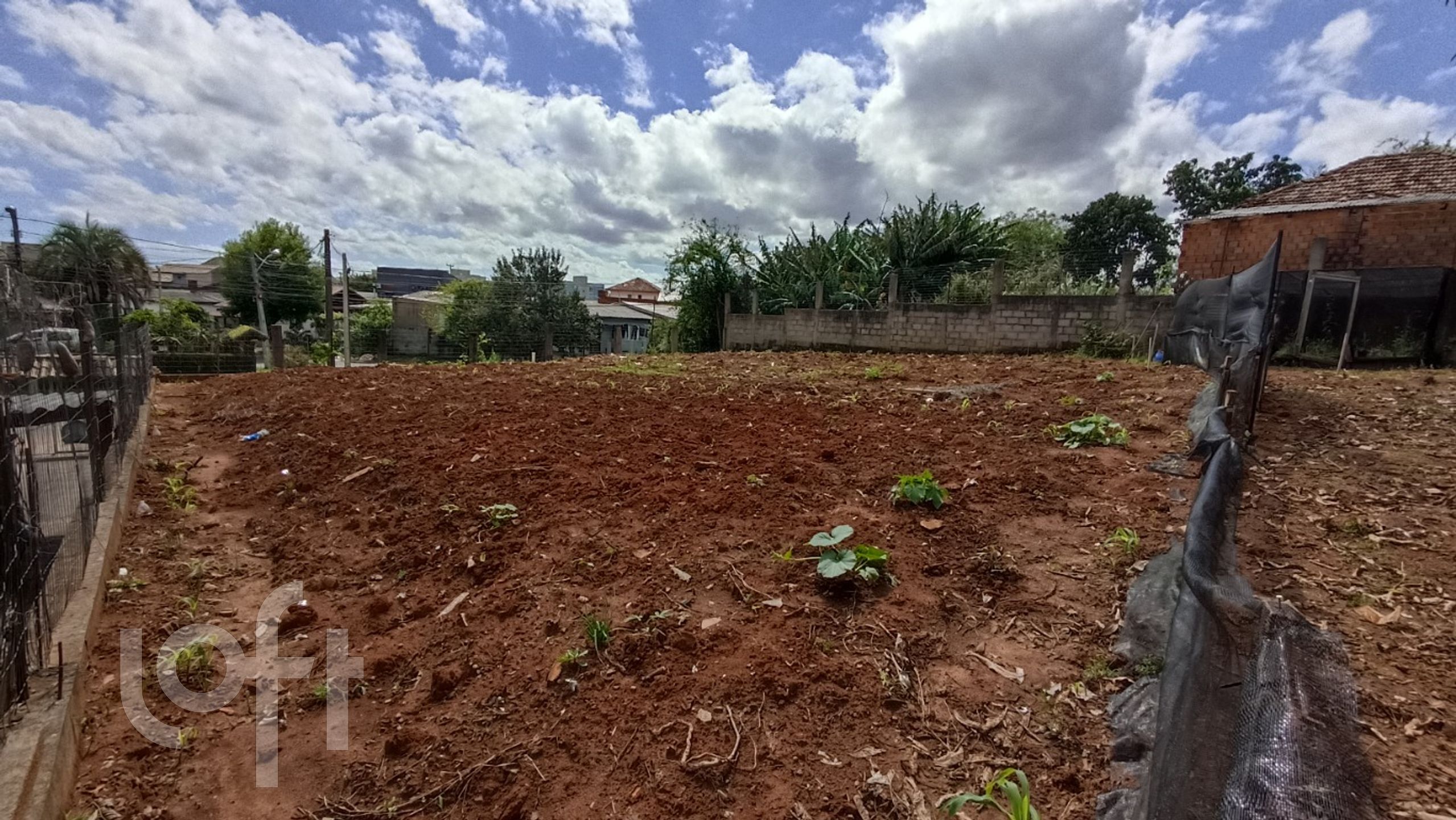 Imagem da propriedade 26