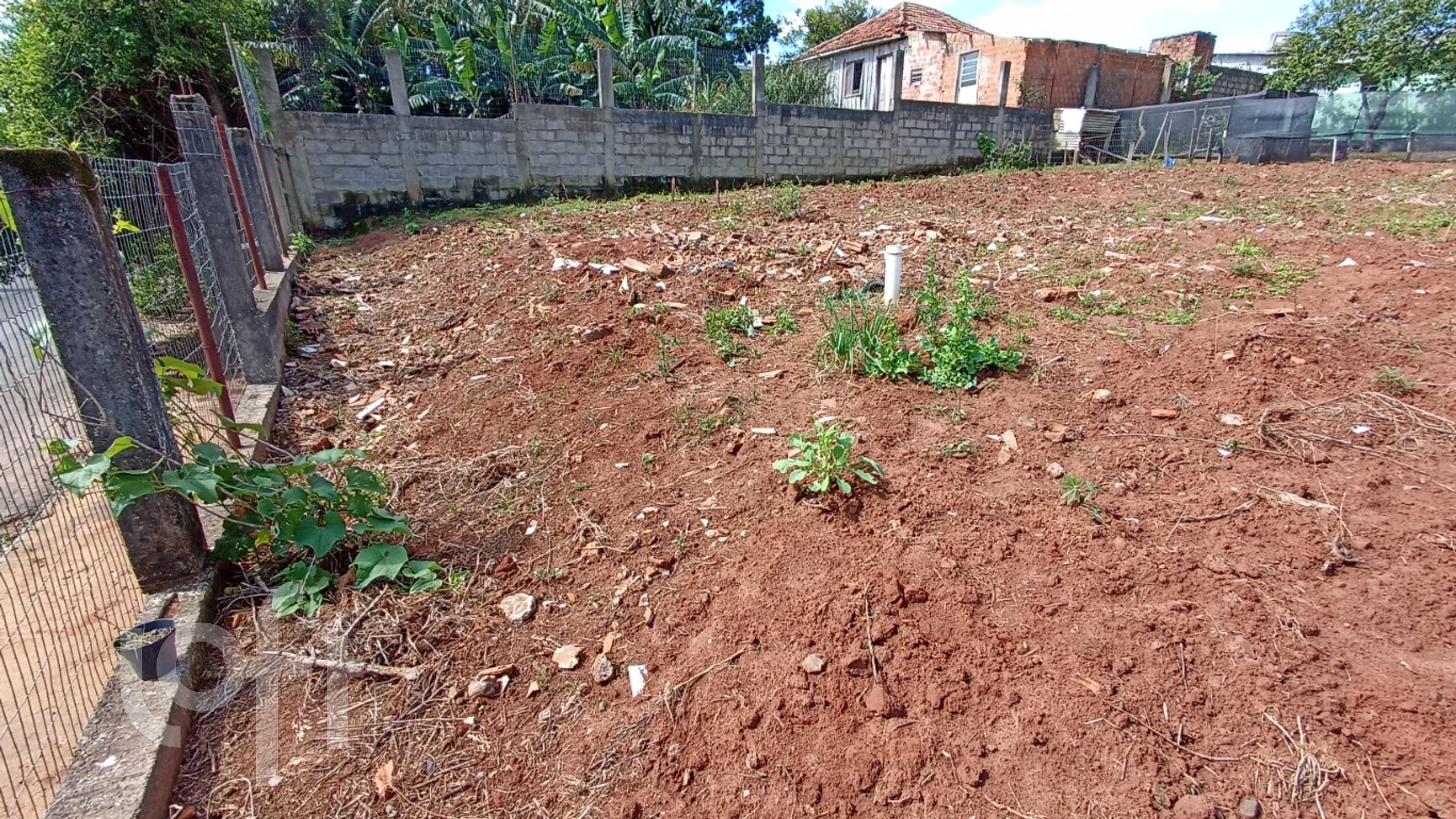 Imagem da propriedade 35