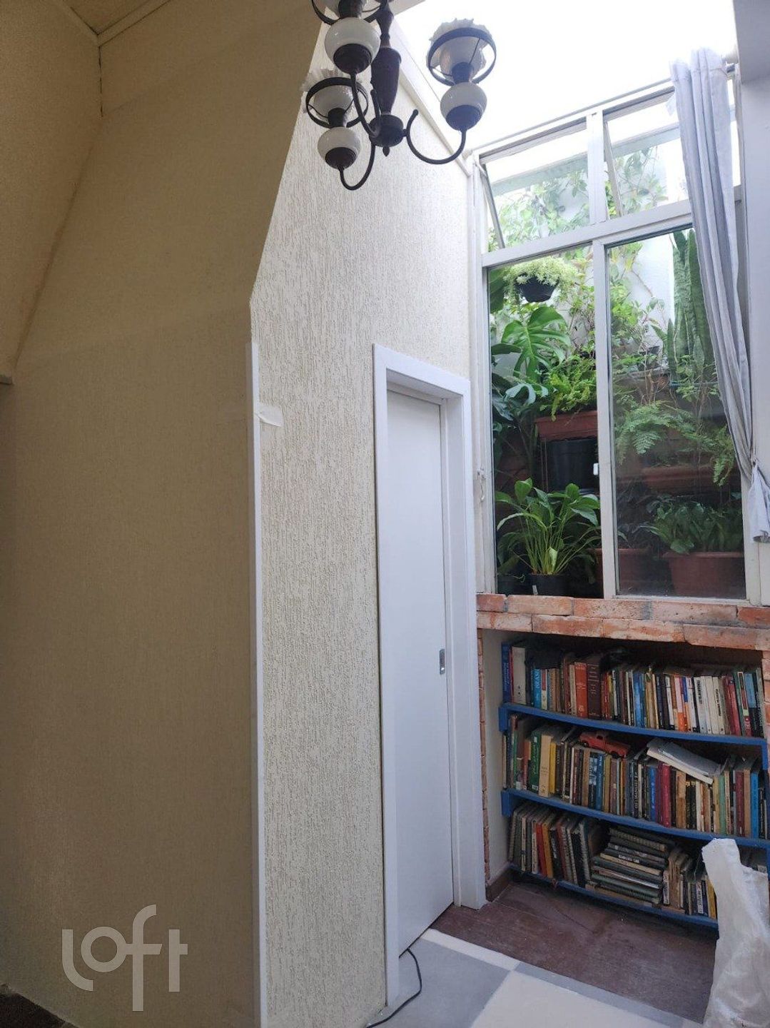 Imagem da propriedade 3