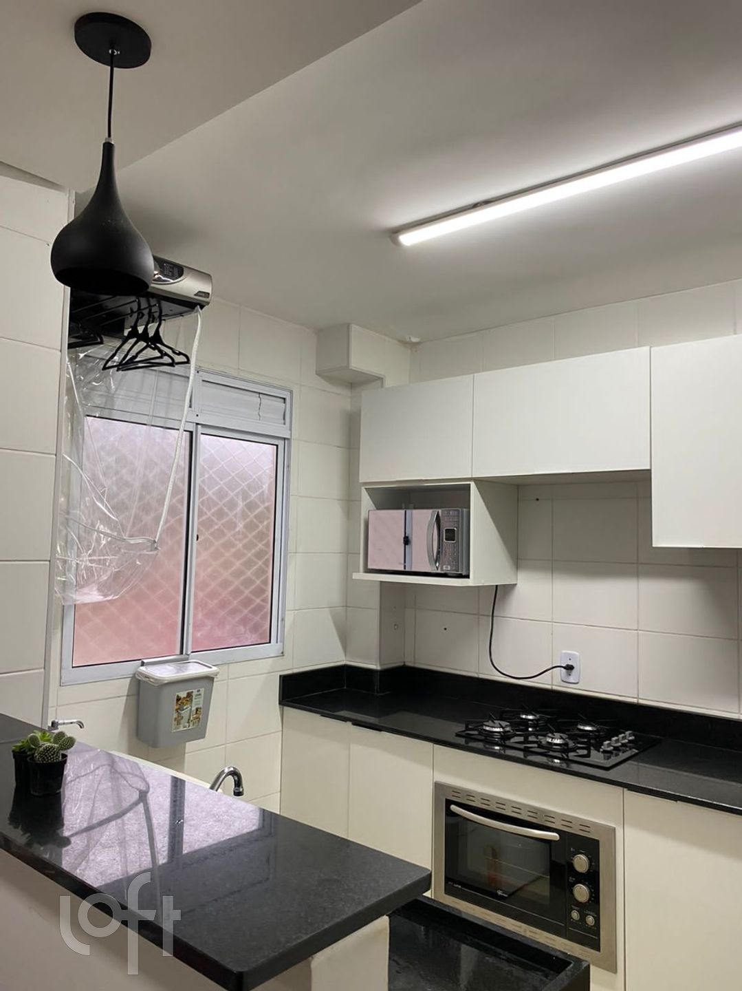 Imagem da propriedade 5