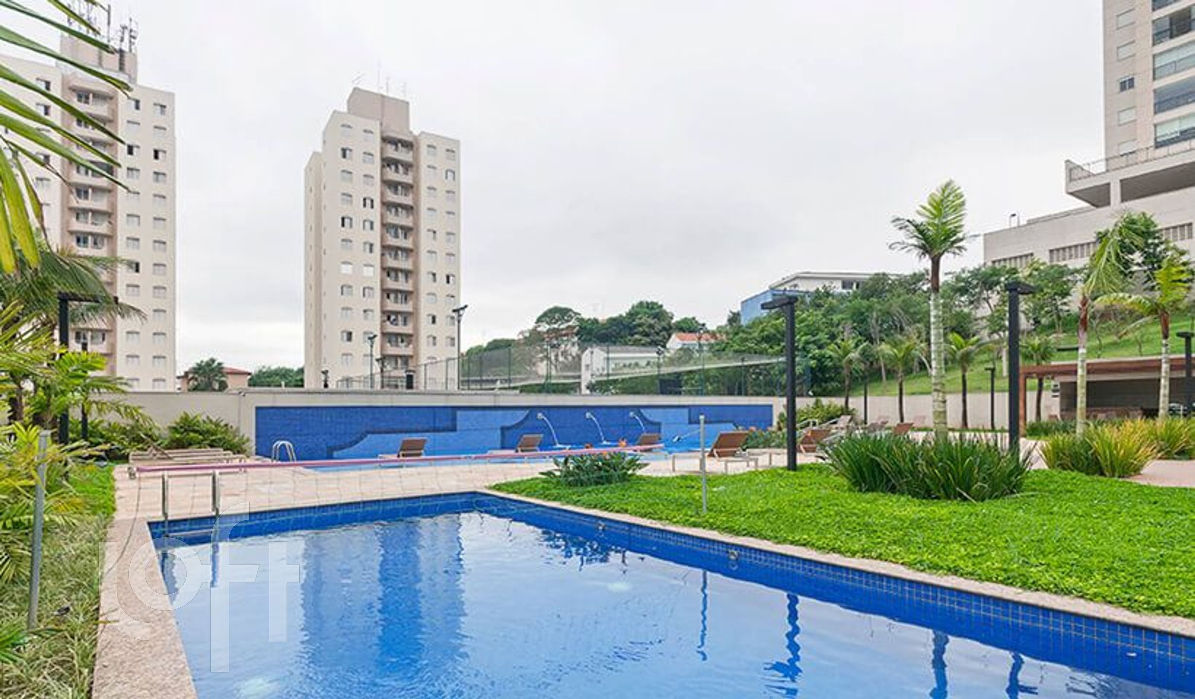 Imagem da propriedade 30