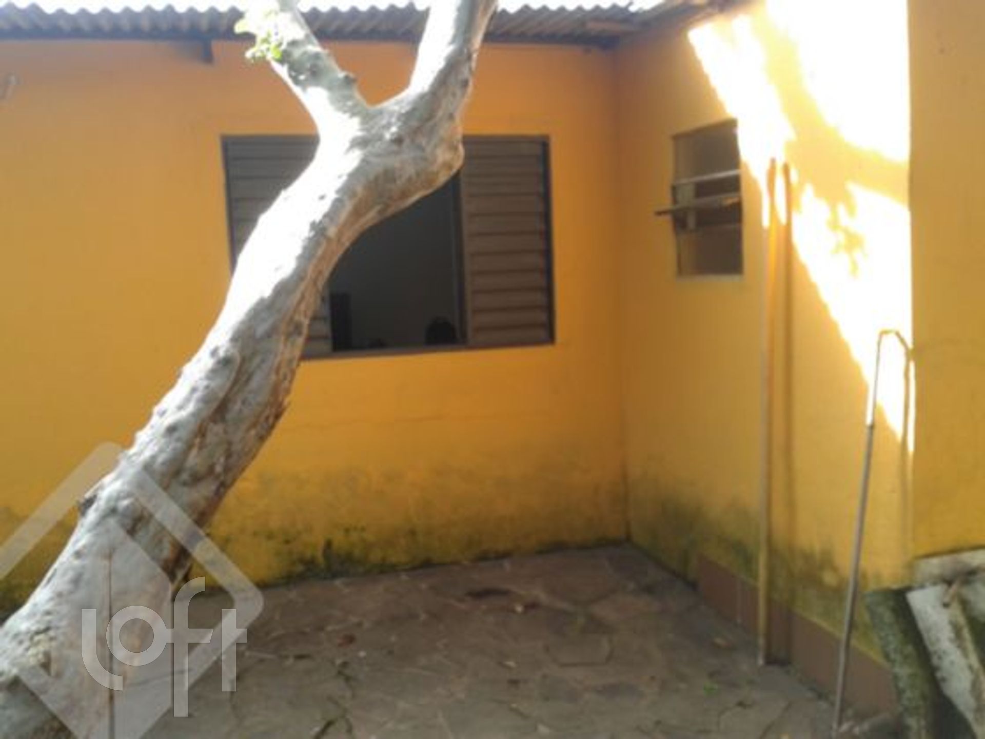 Imagem da propriedade 10