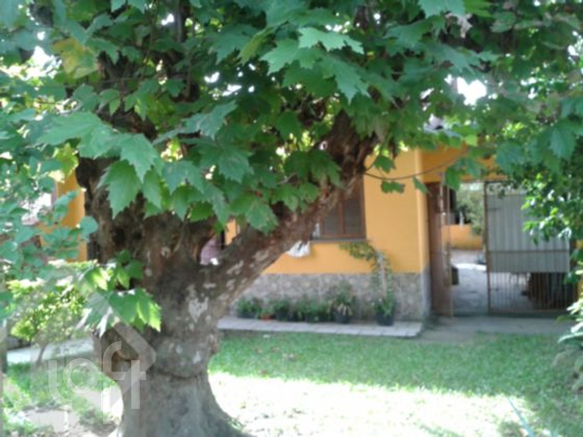 Imagem da propriedade 14