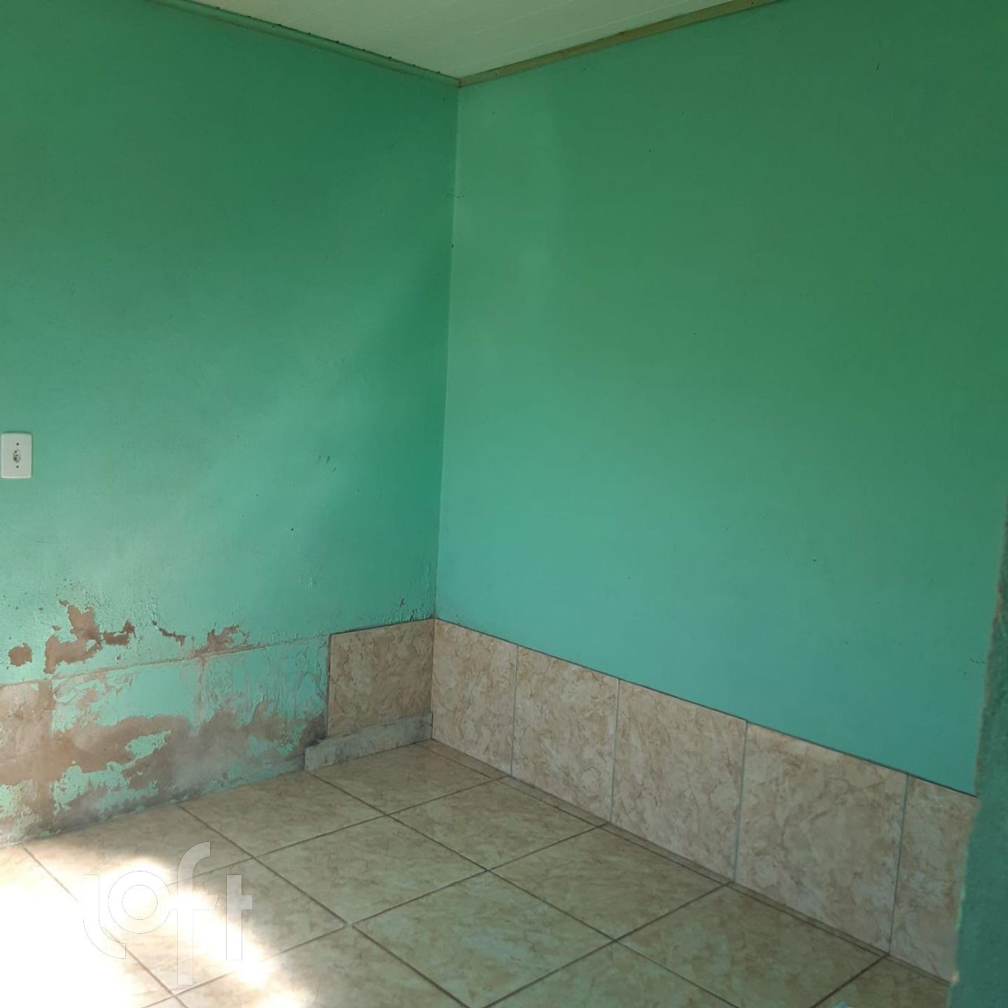 Imagem da propriedade 12