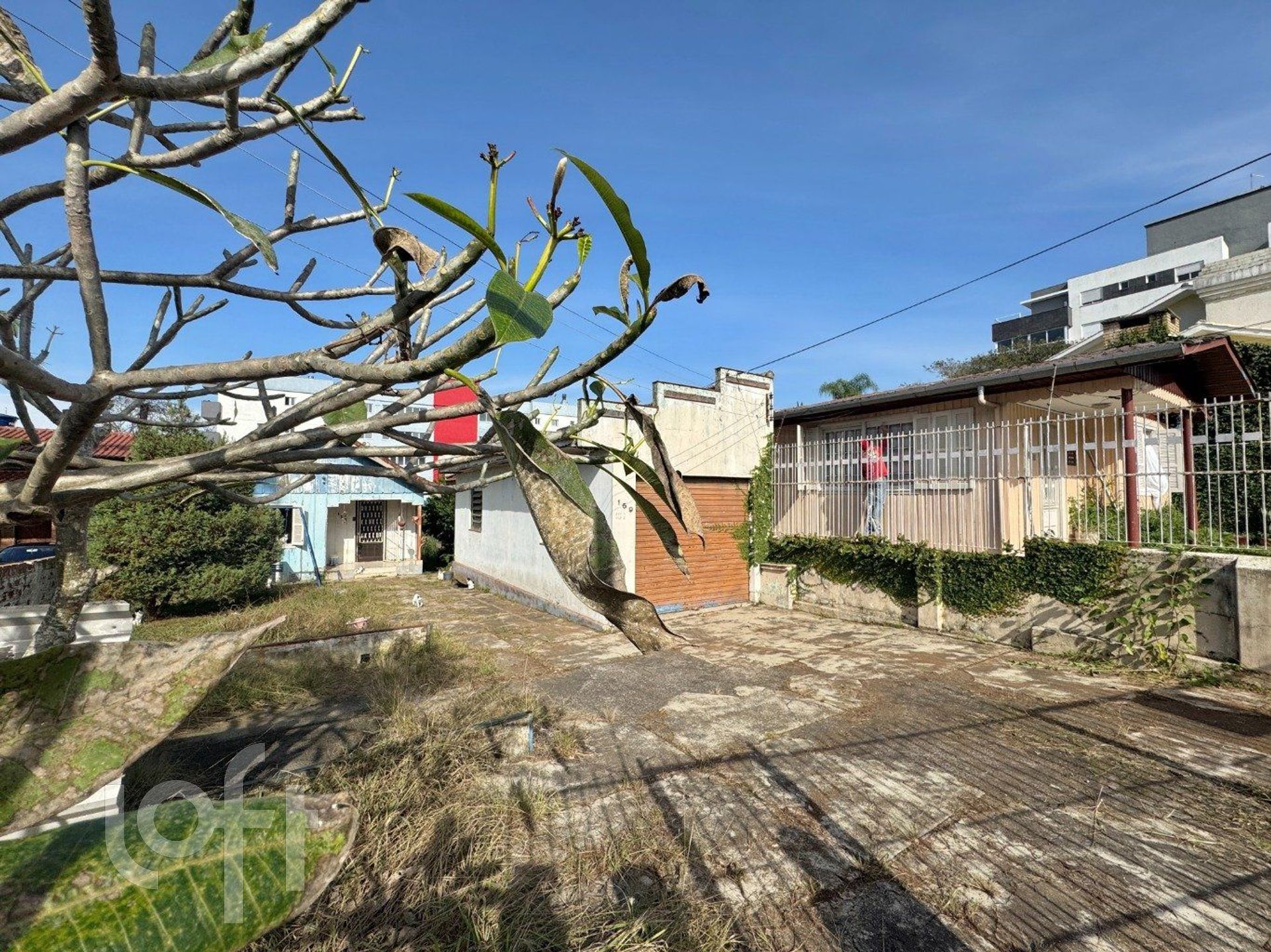 Imagem da propriedade 3