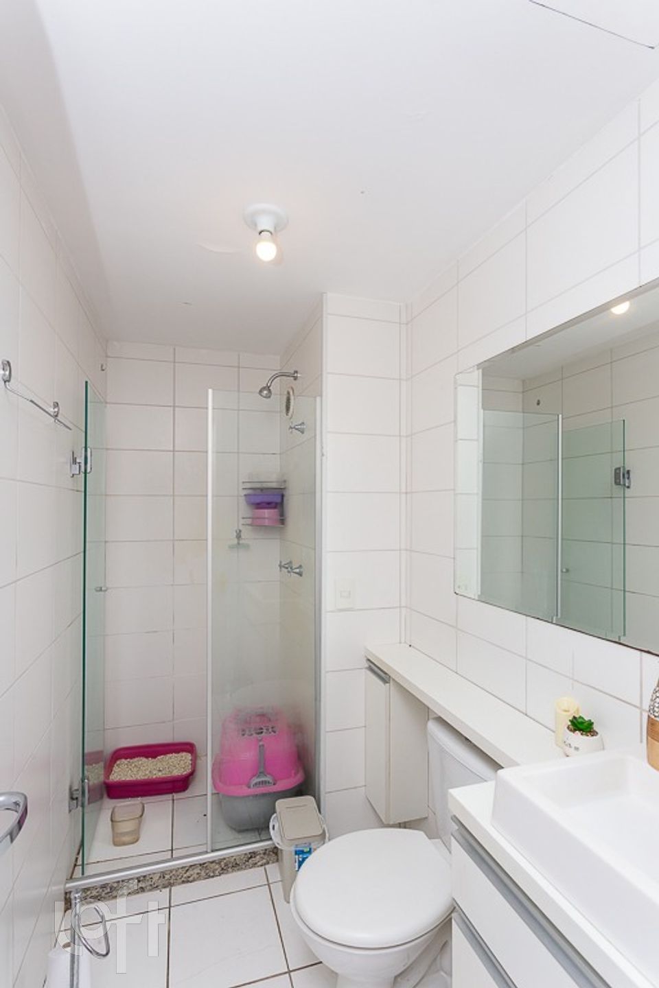 Imagem da propriedade 15