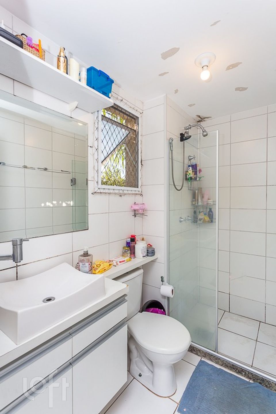 Imagem da propriedade 11