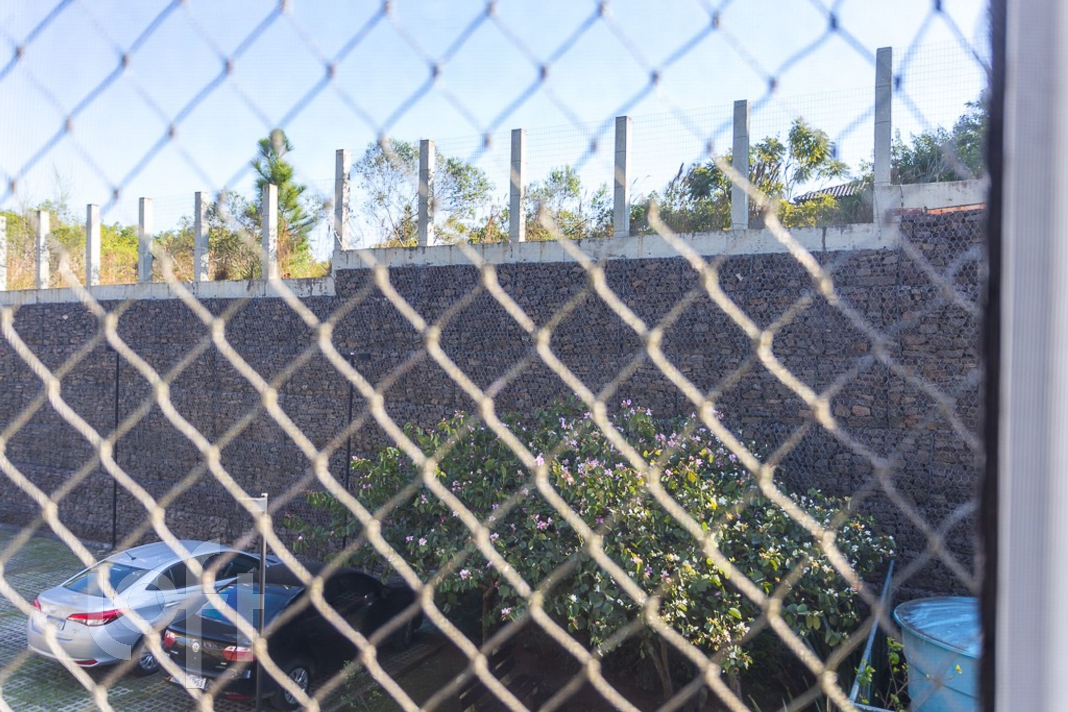 Imagem da propriedade 21