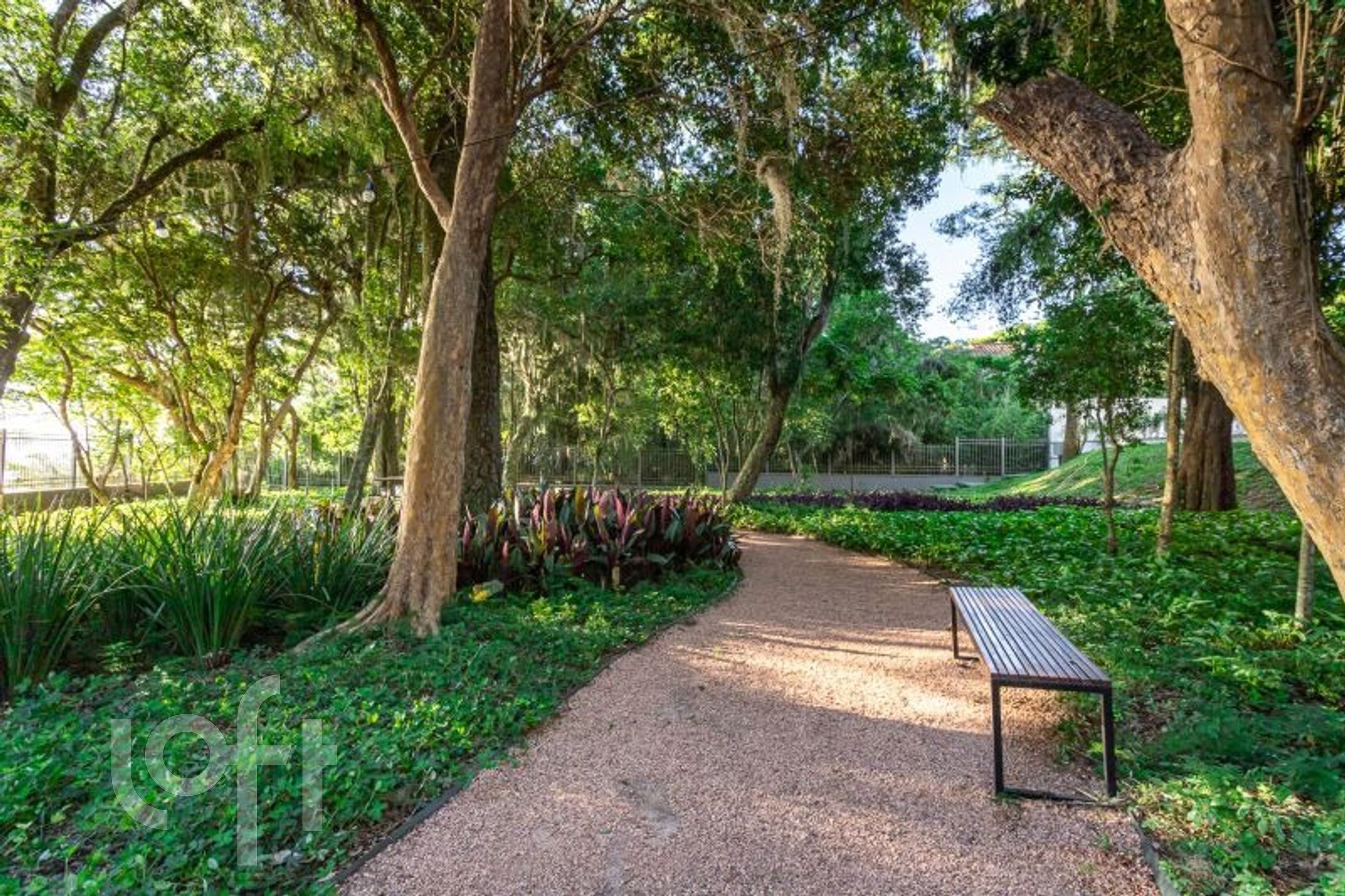 Imagem da propriedade 32