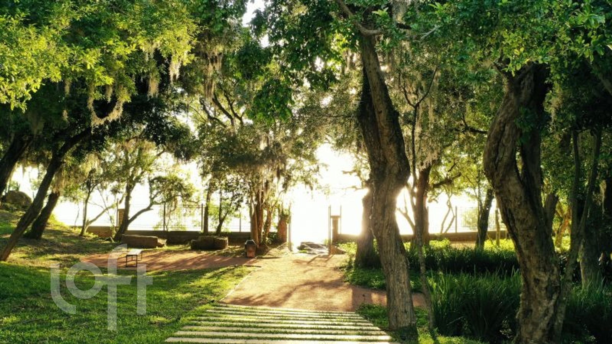 Imagem da propriedade 31