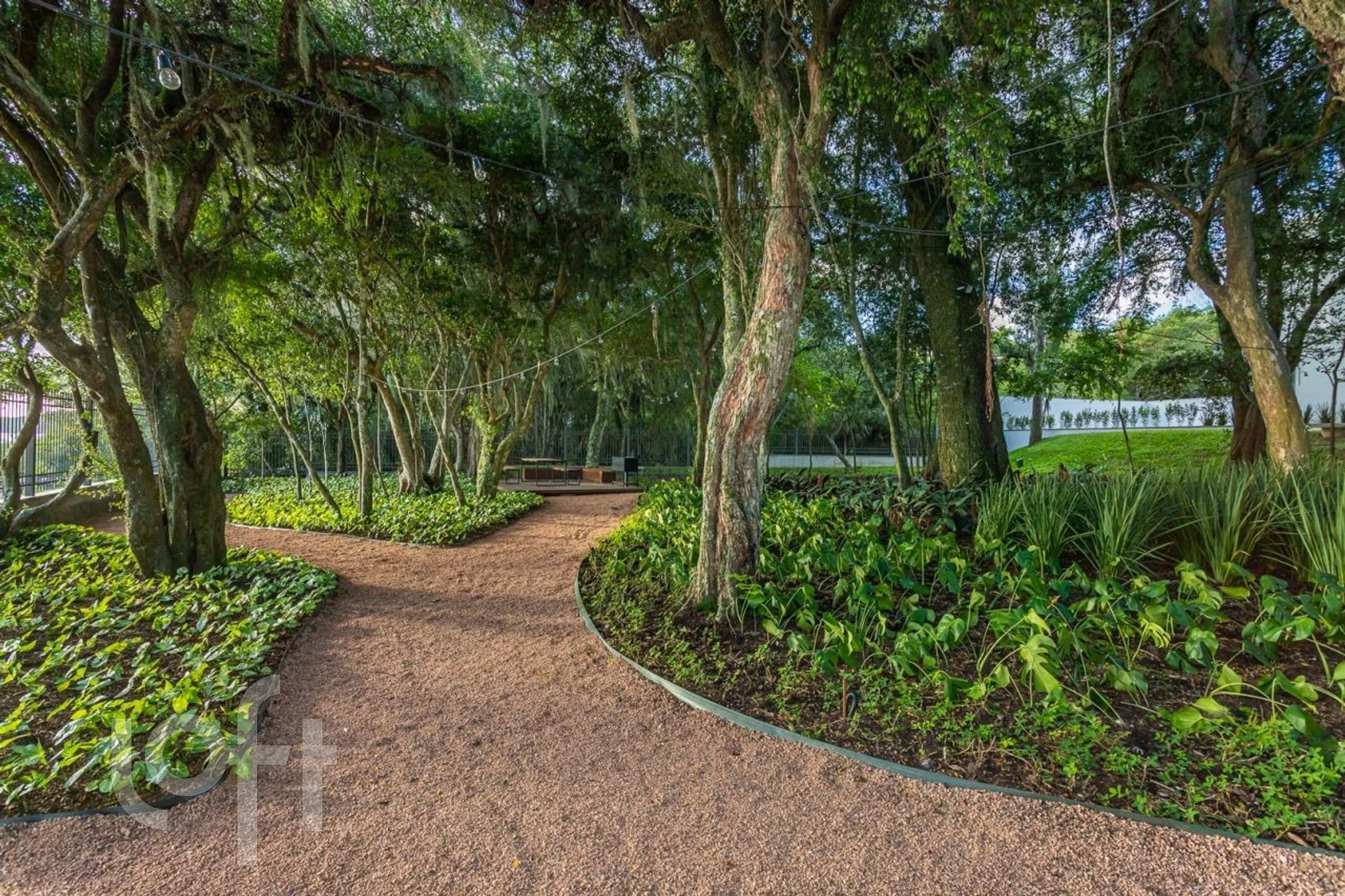 Imagem da propriedade 23