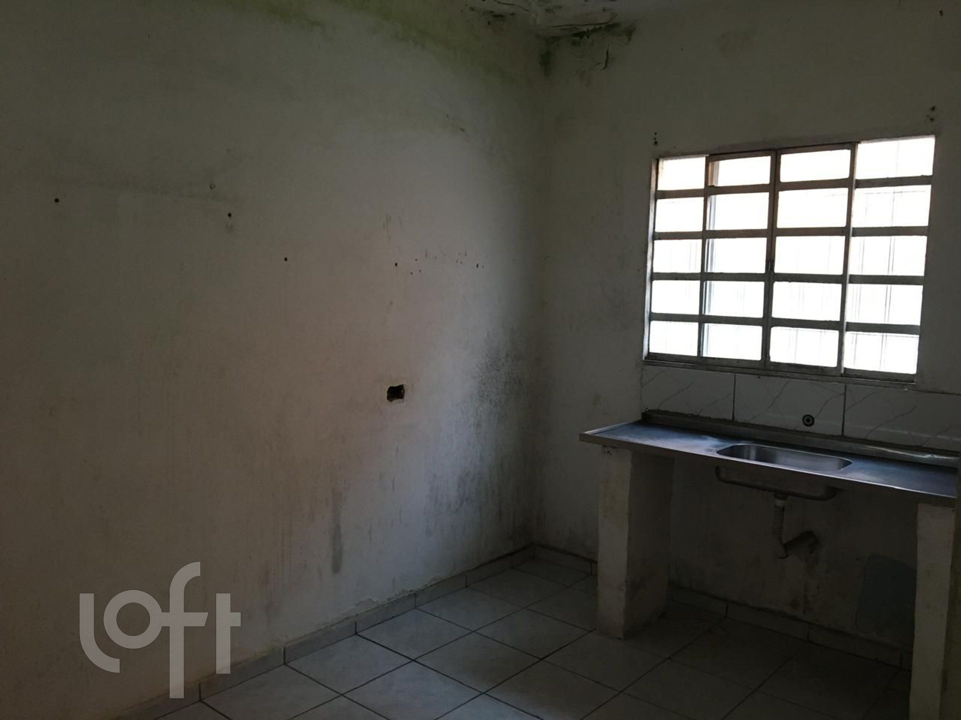 Imagem da propriedade 3