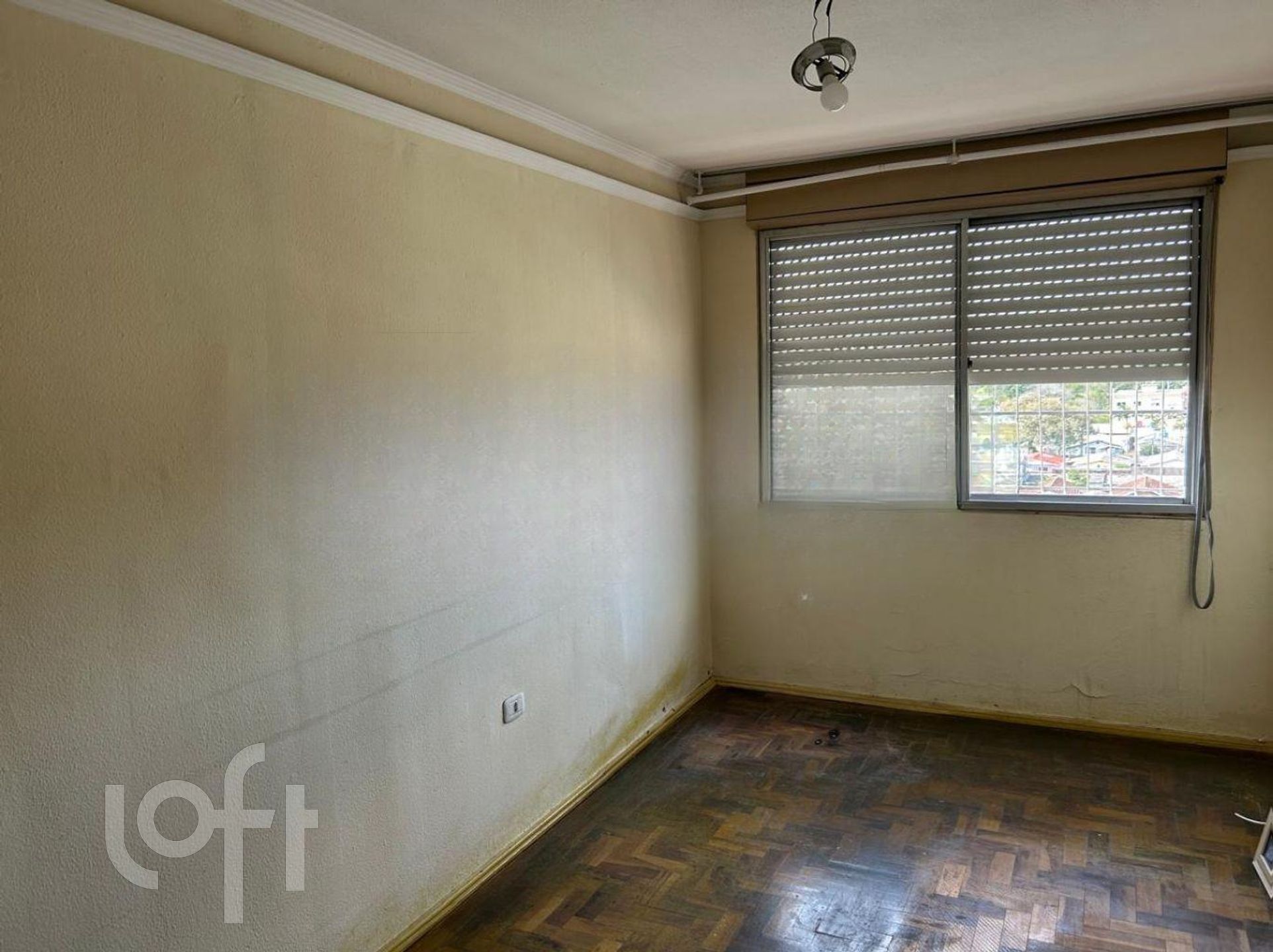 Imagem da propriedade 8