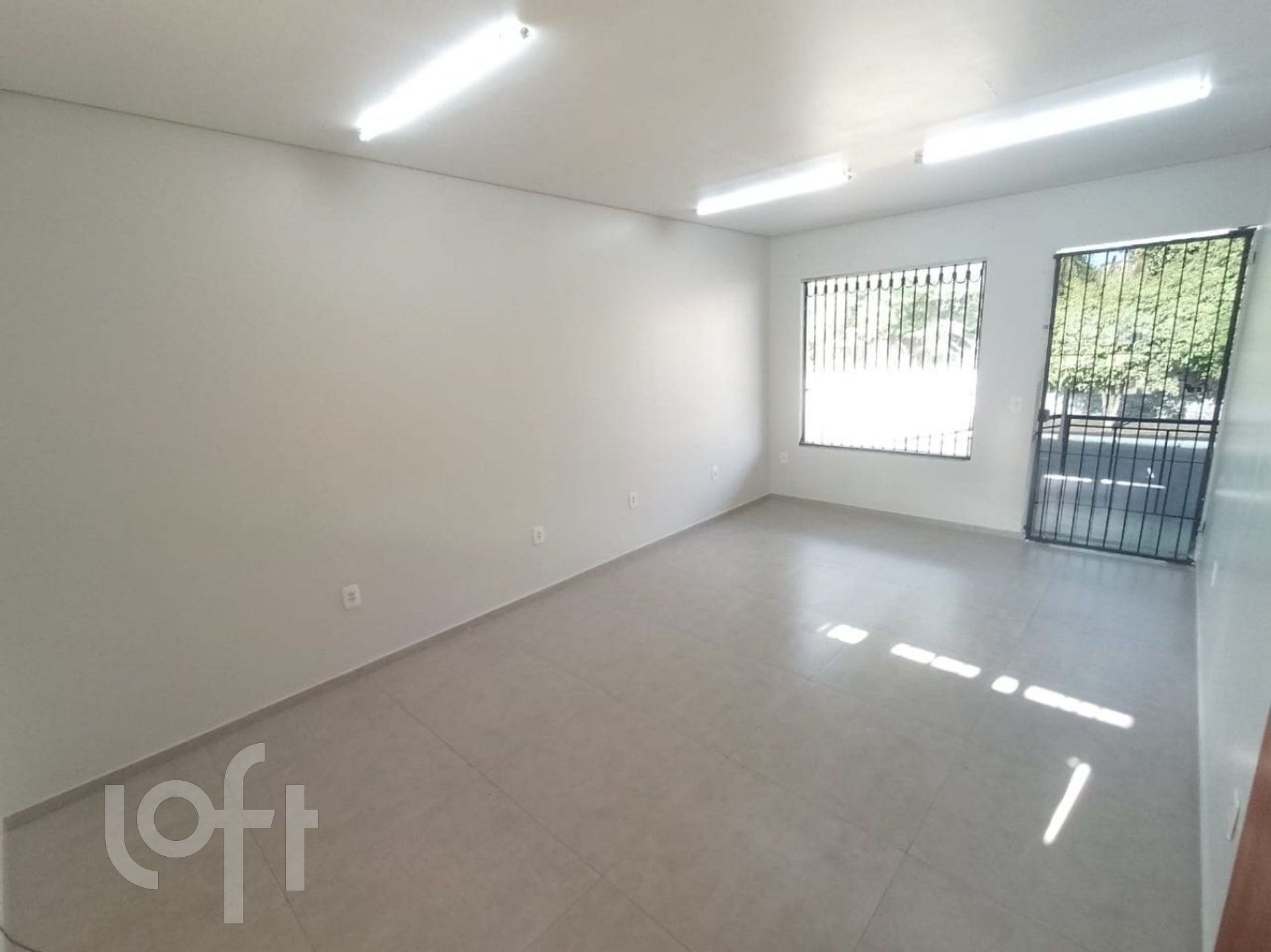 Imagem da propriedade 12