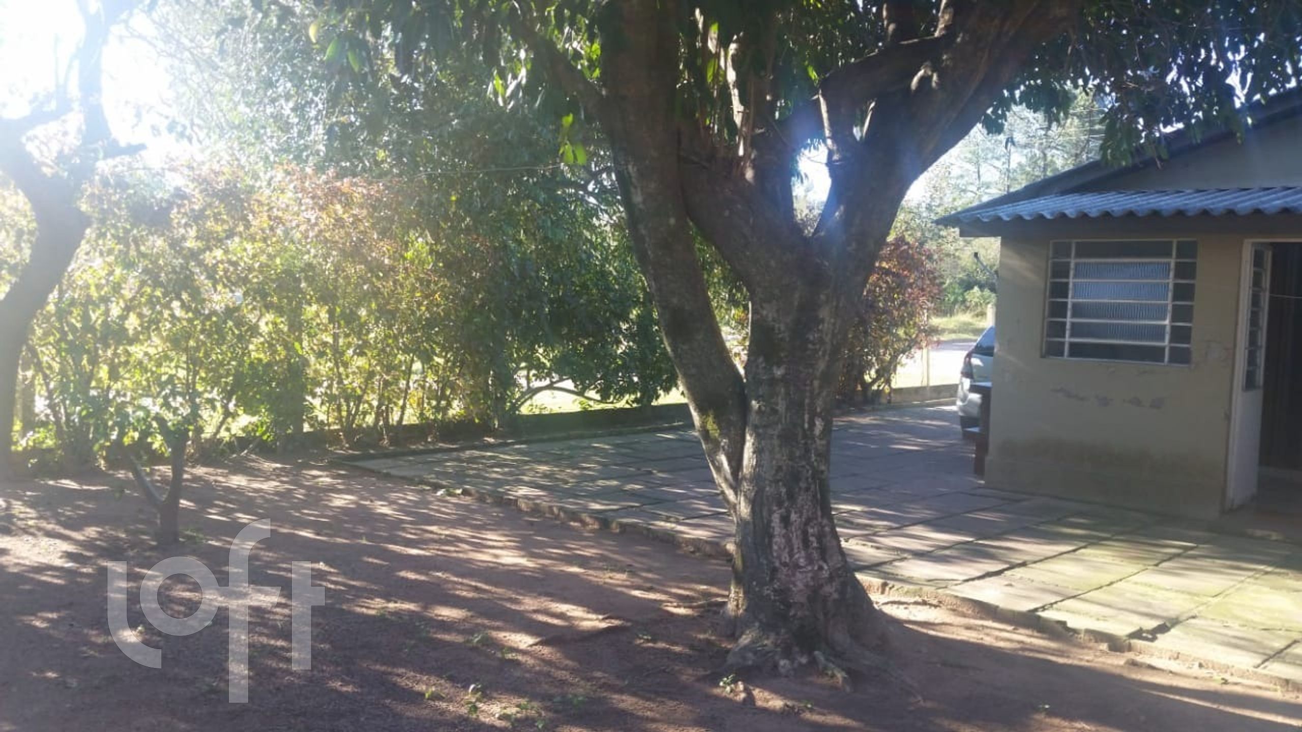 Imagem da propriedade 15