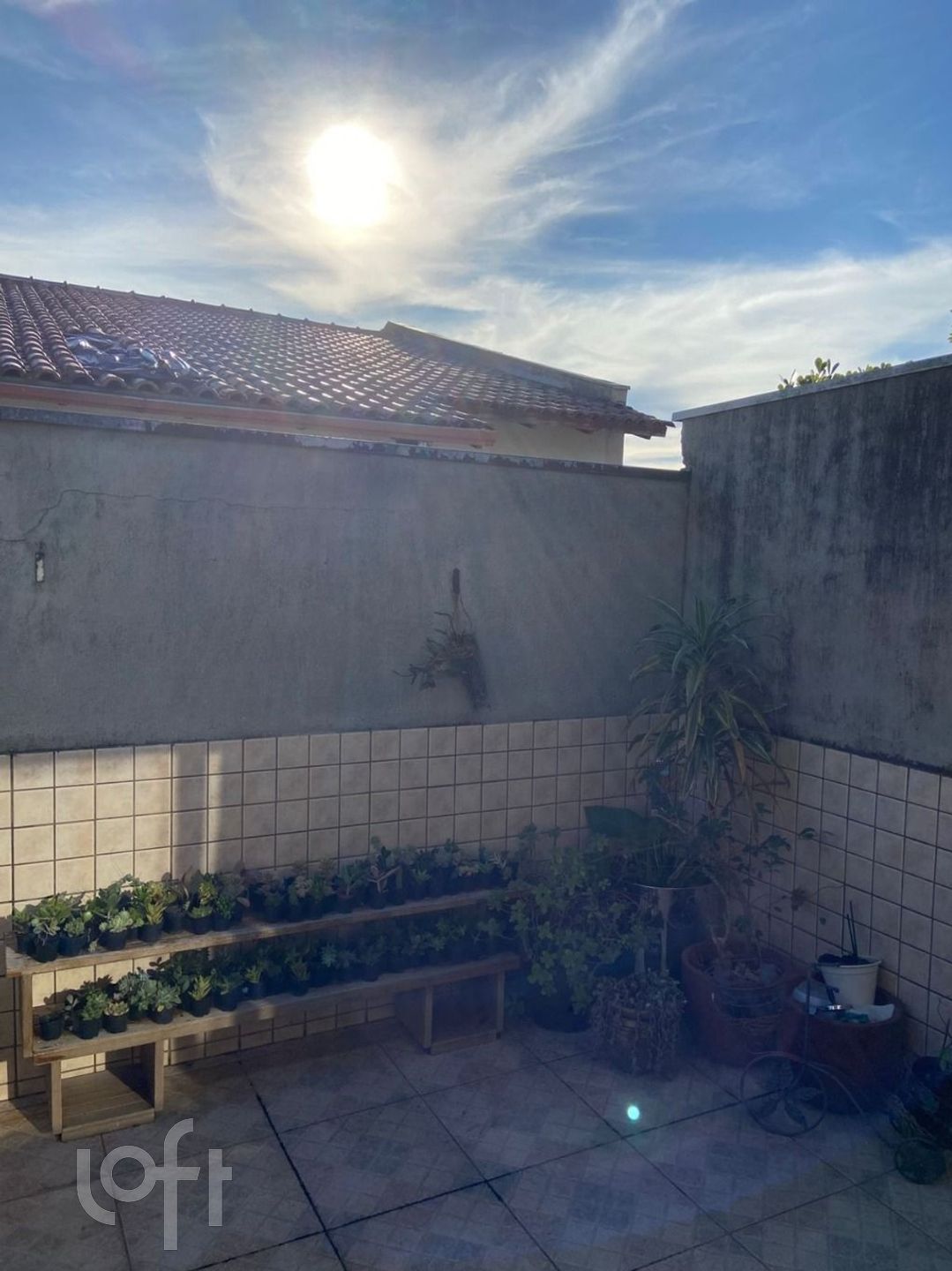 Imagem da propriedade 3