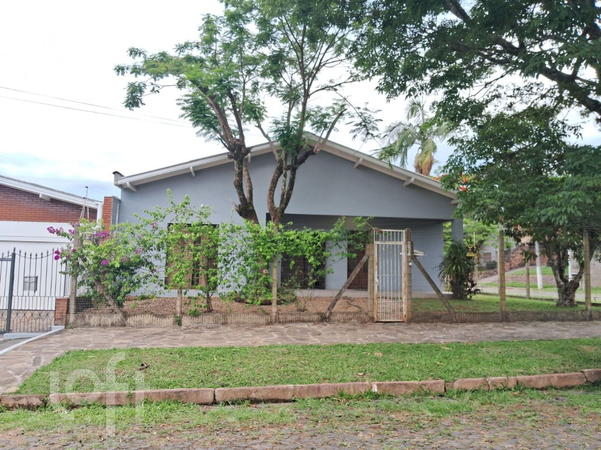 Imagem da propriedade 3