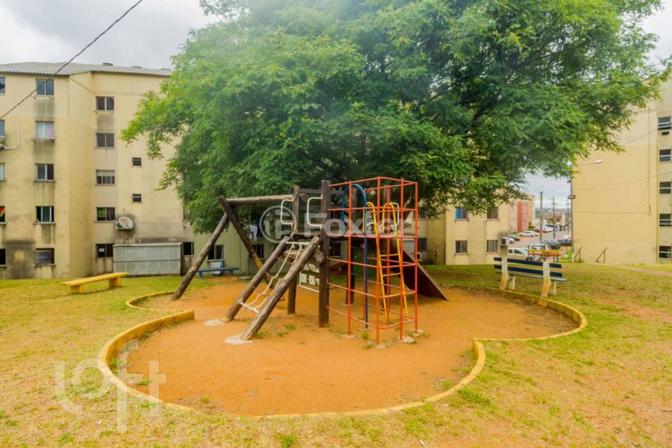 Imagem da propriedade 16