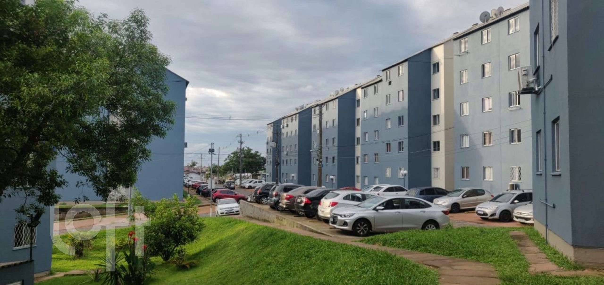 Imagem da propriedade 6