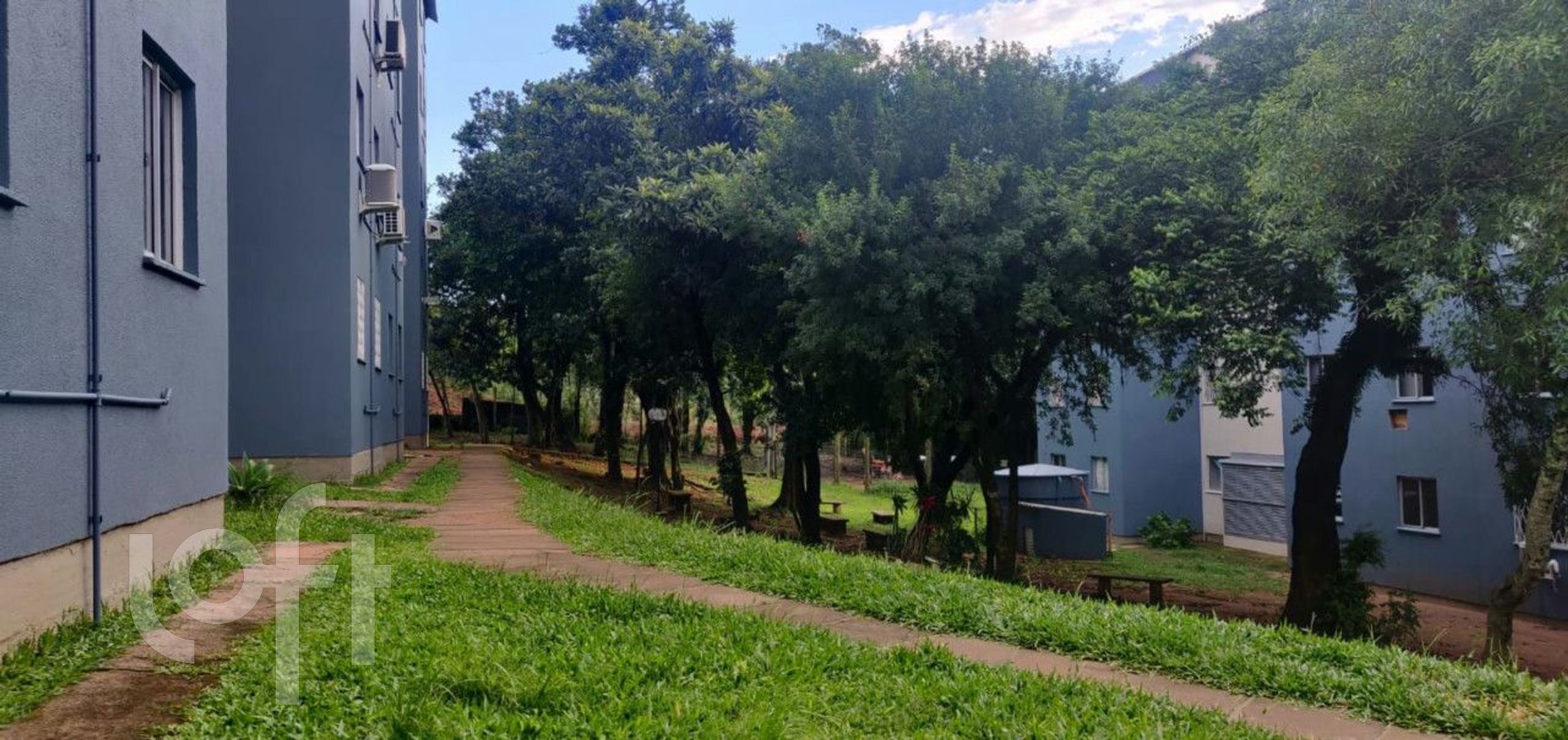 Imagem da propriedade 8