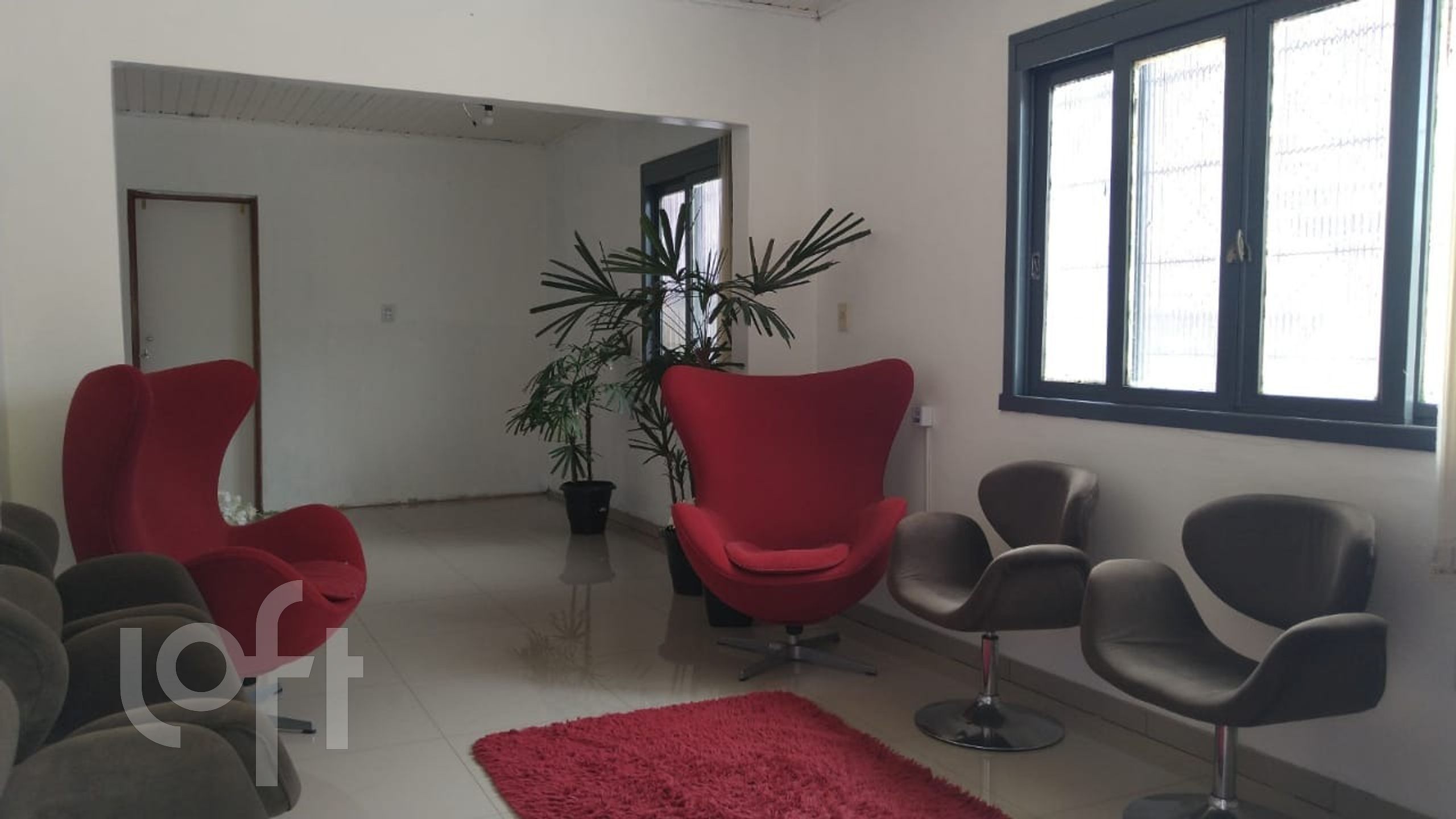 Imagem da propriedade 6