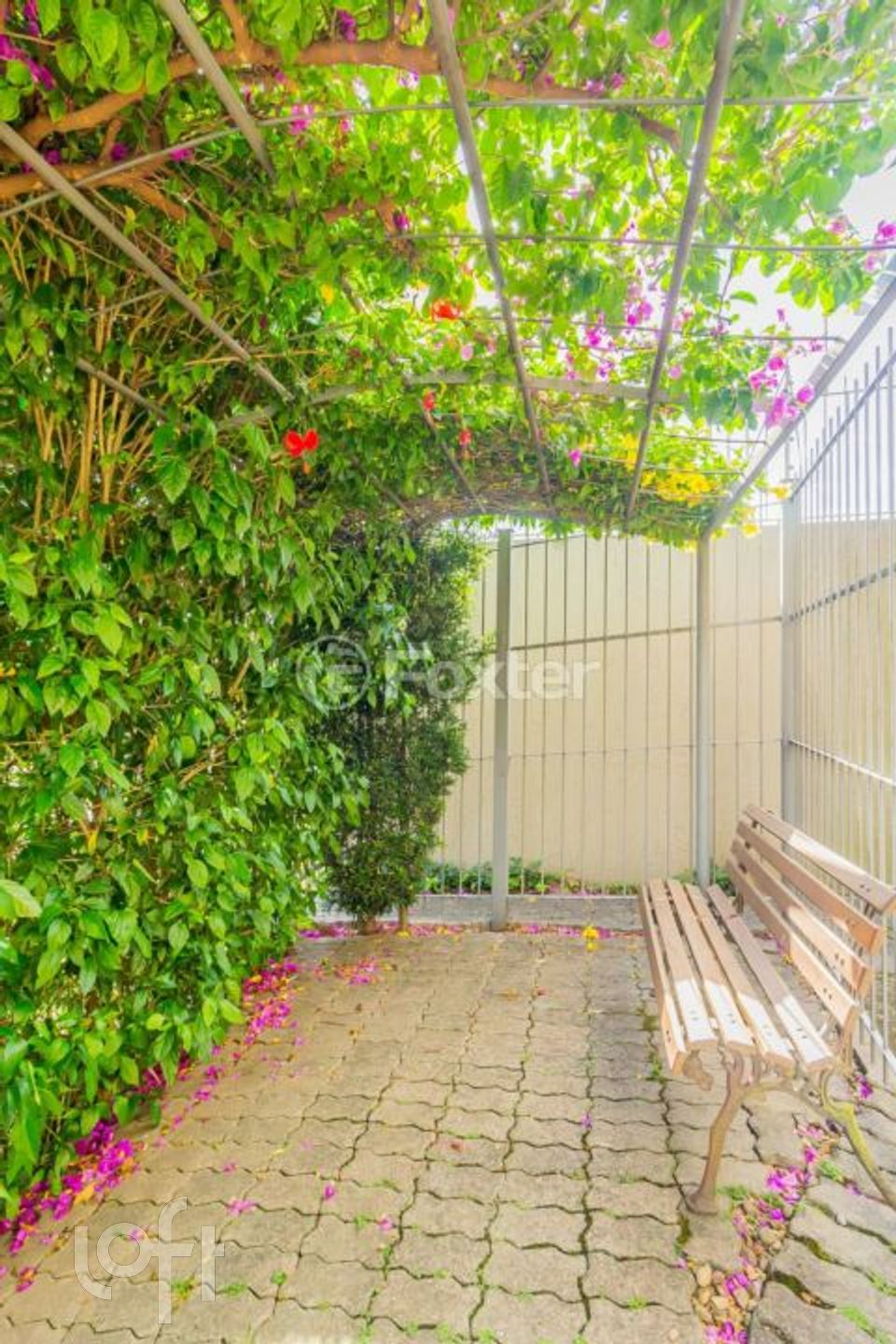 Imagem da propriedade 43