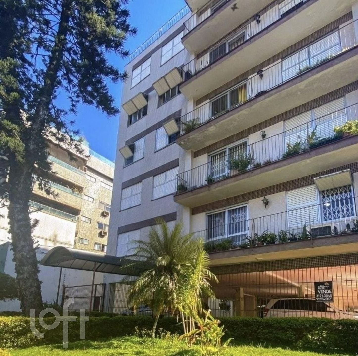 Imagem da propriedade 3