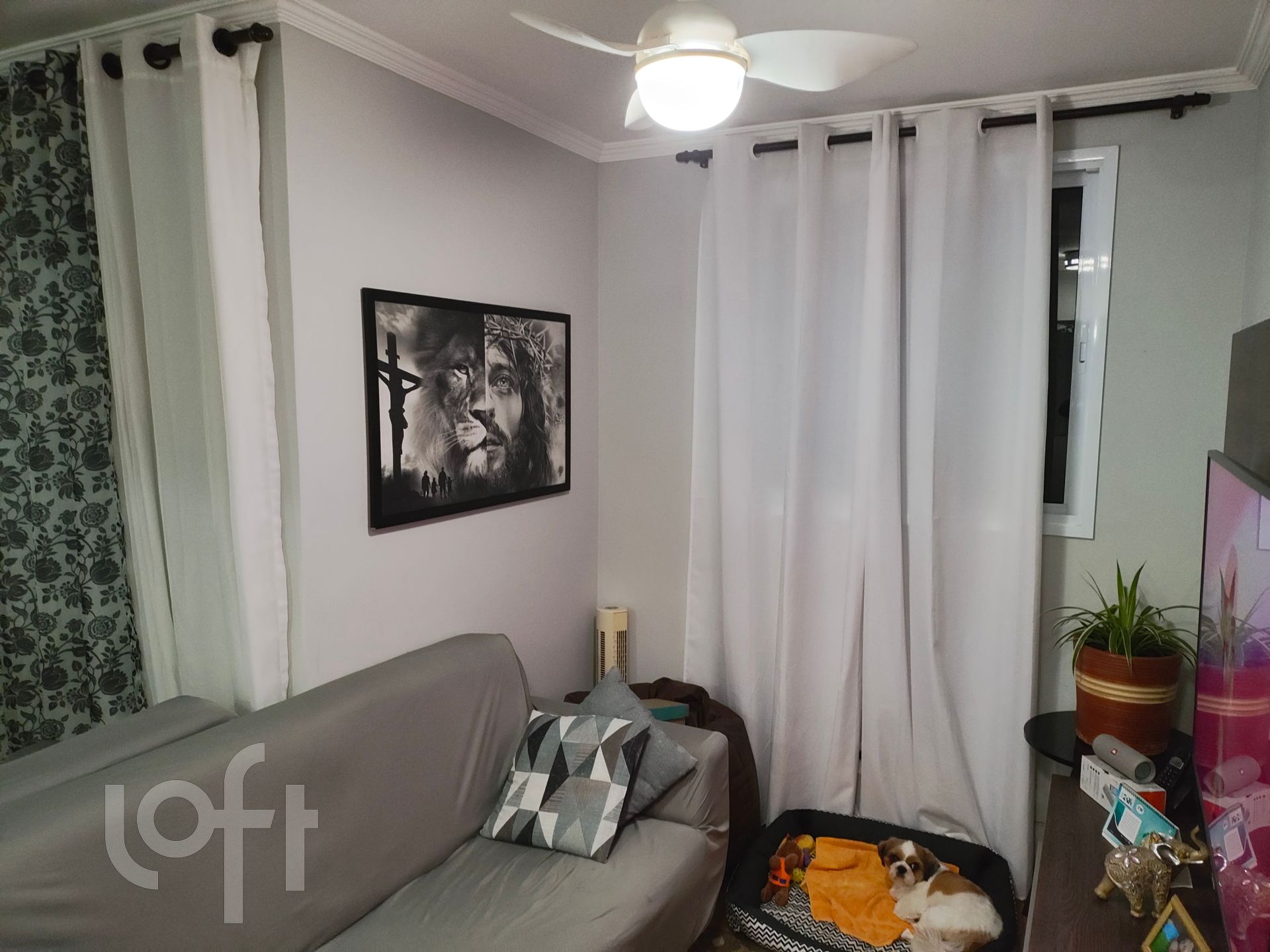 Apartamento à venda em Vila Matilde com 60 m², 2 q
