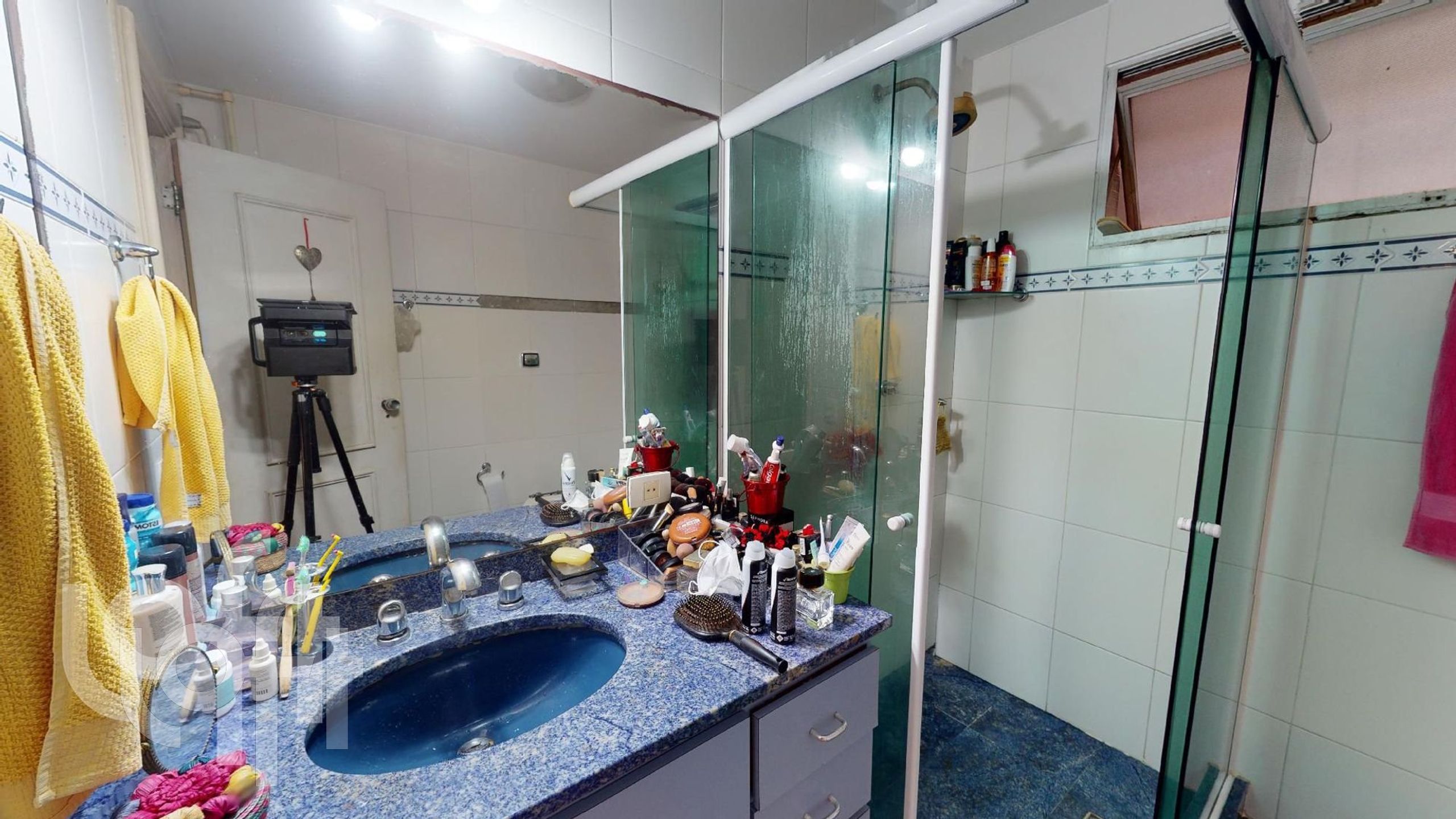Imagem da propriedade 6